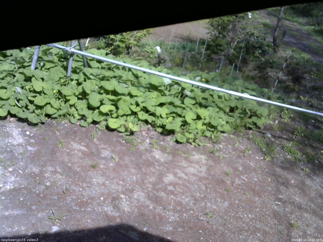 長野県菅平高原 ゆたか山荘 駐車場 2026/05/14 14:15