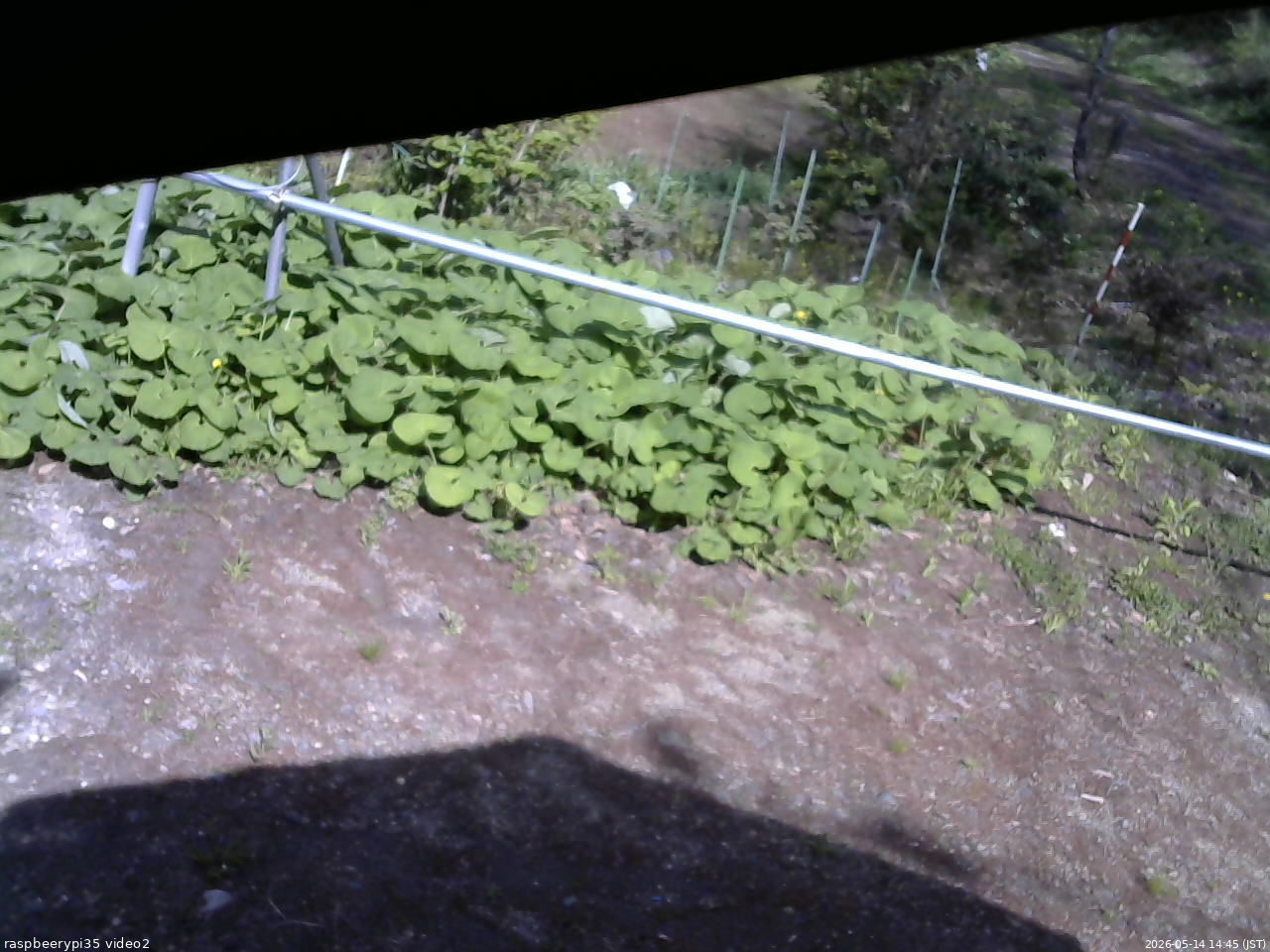 長野県菅平高原 ゆたか山荘 駐車場 2026/05/14 14:45