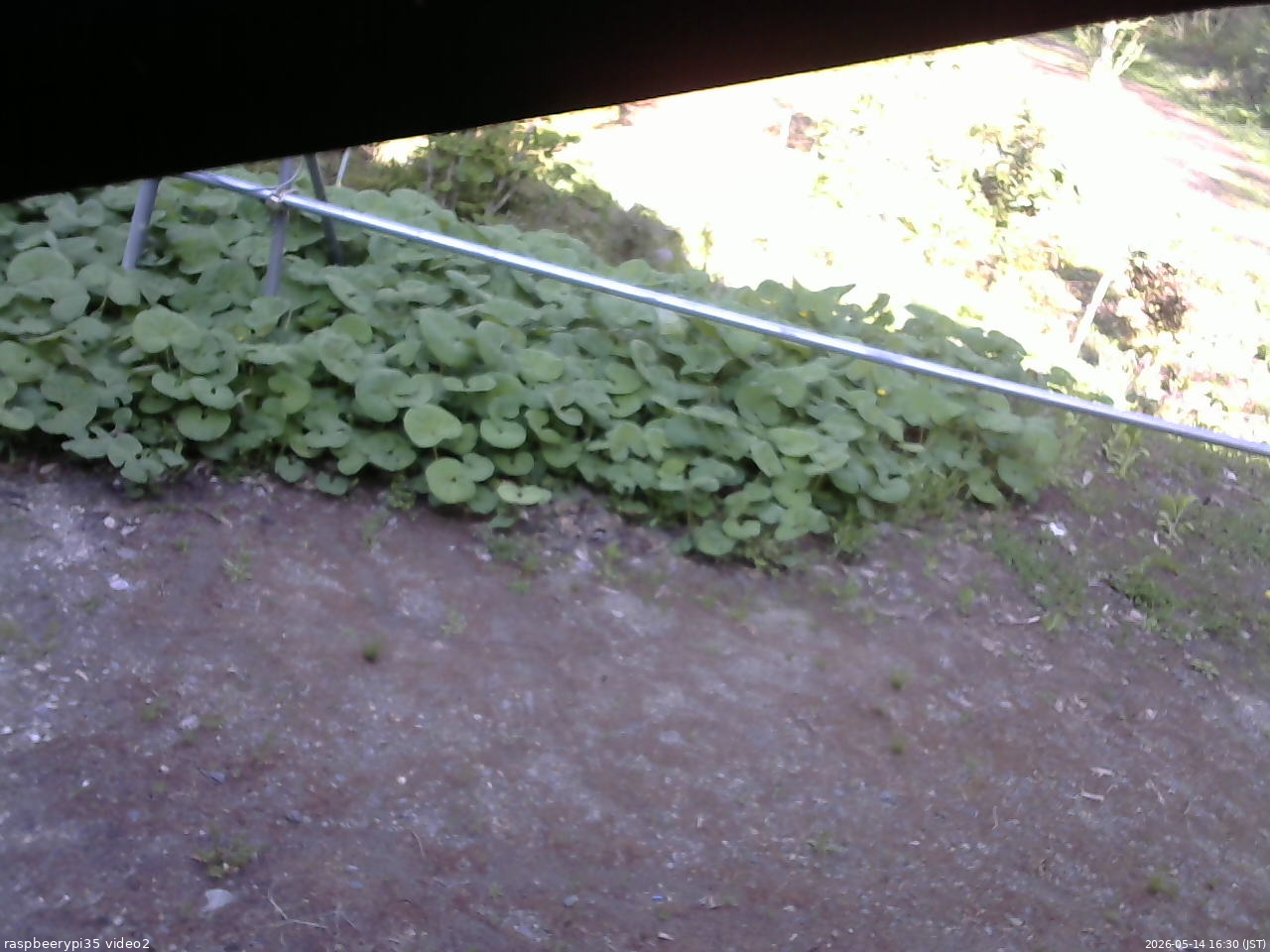 長野県菅平高原 ゆたか山荘 駐車場 2026/05/14 16:30