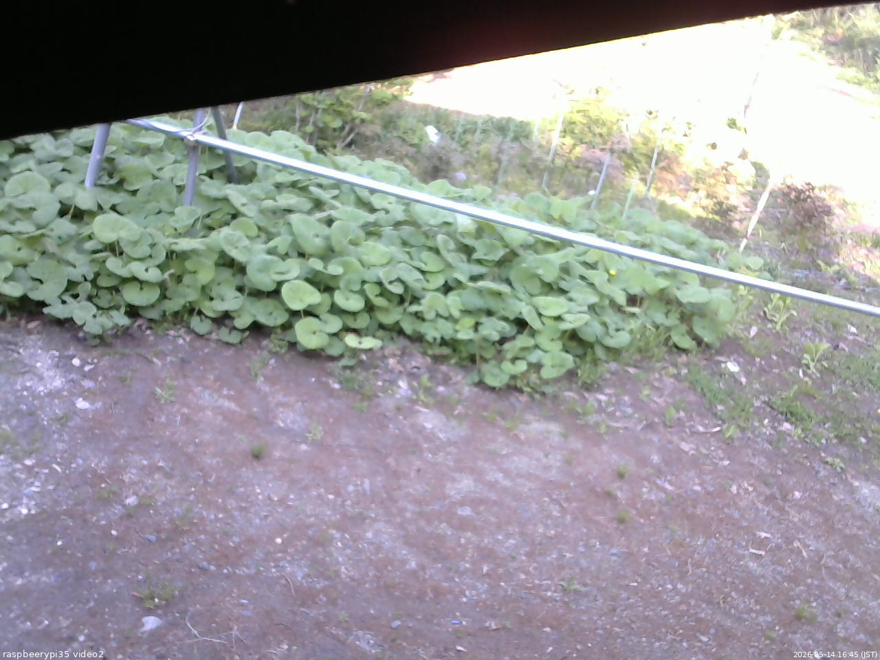 長野県菅平高原 ゆたか山荘 駐車場 2026/05/14 16:45