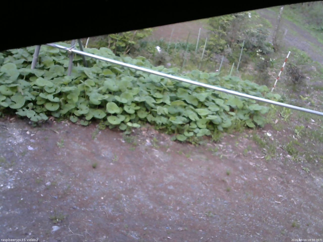 長野県菅平高原 ゆたか山荘 駐車場 2026/05/14 18:30