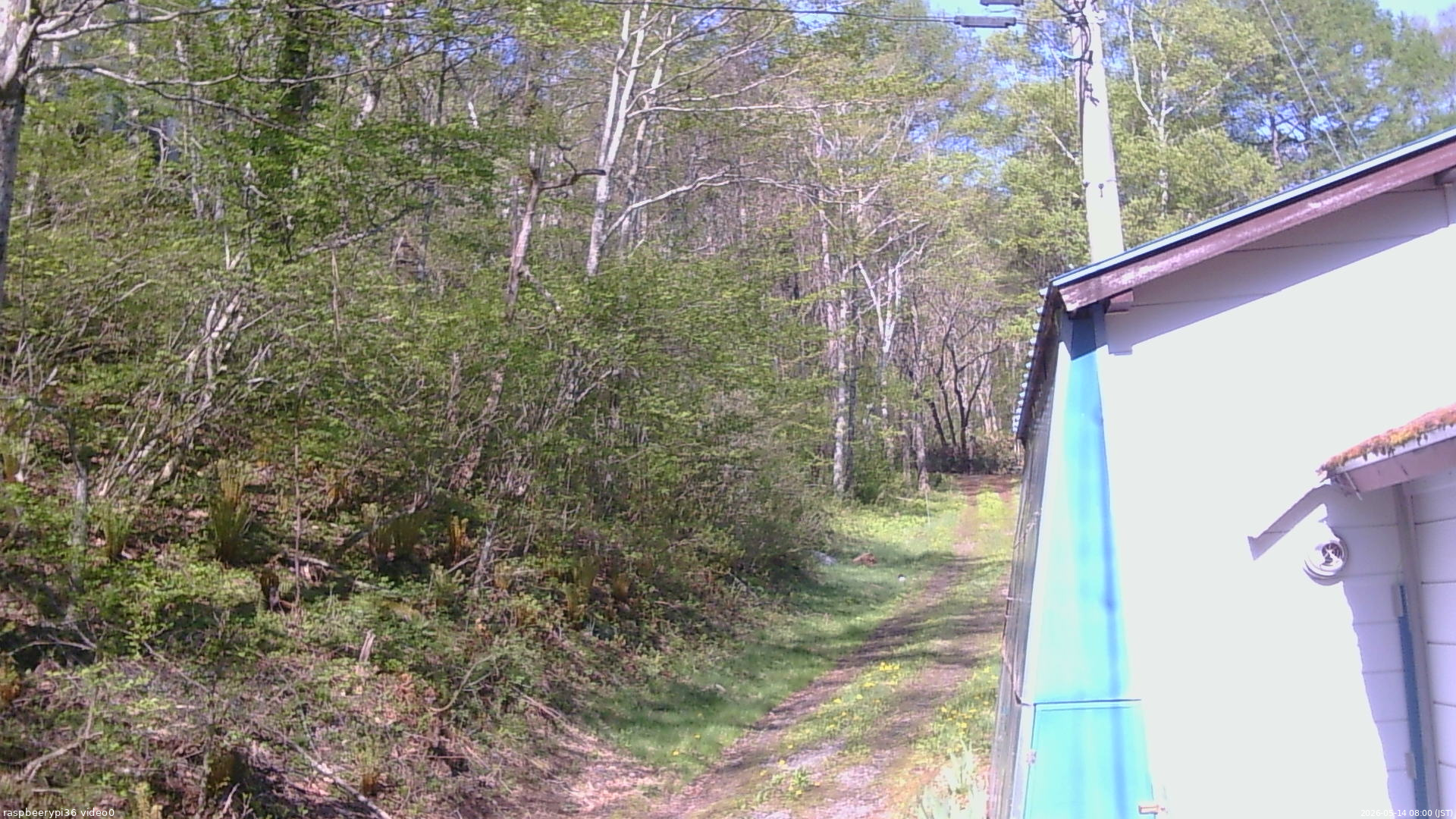 長野県菅平高原 ゆたか山荘 ゆたか山荘 2026/05/14 08:00