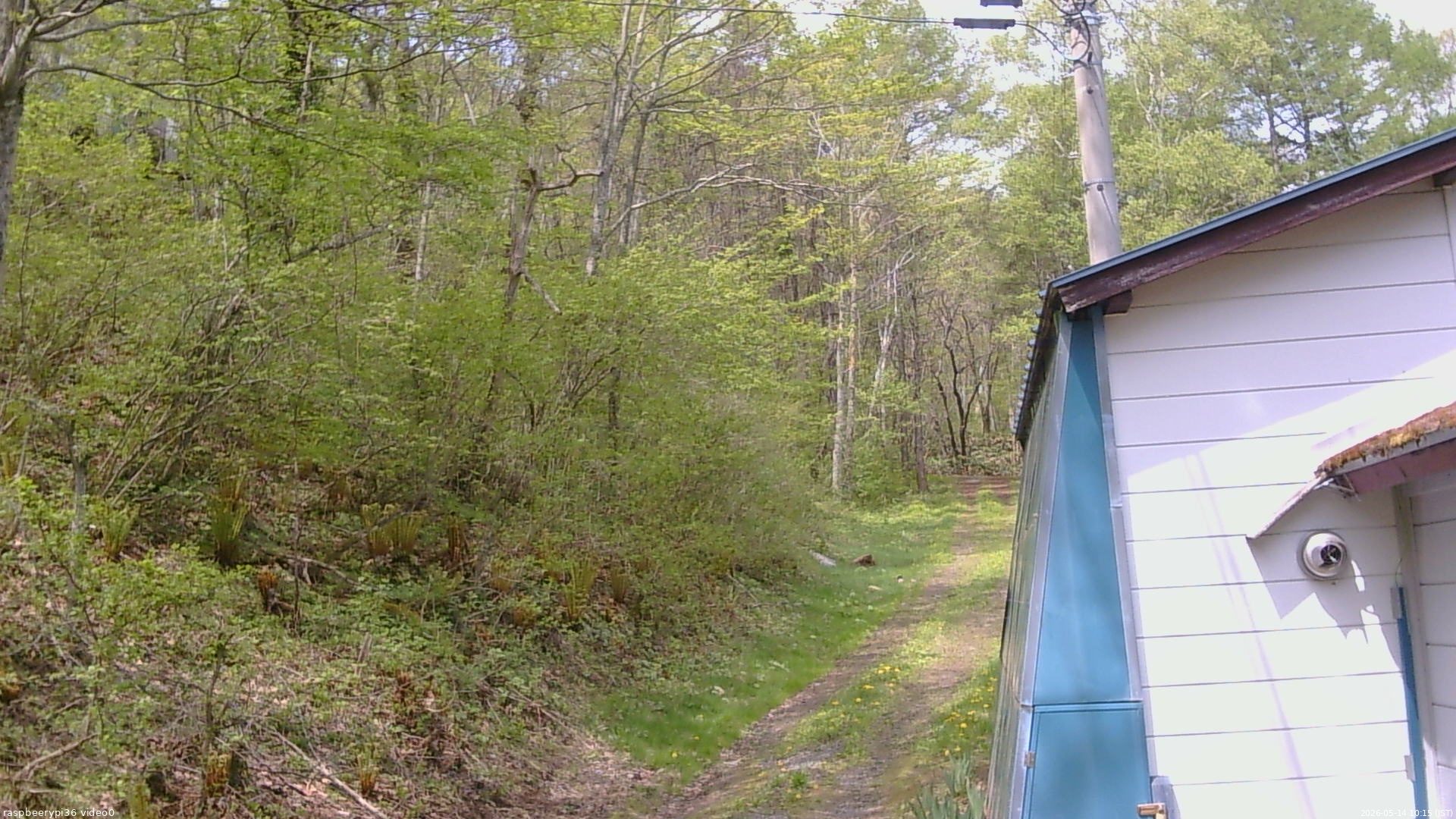 長野県菅平高原 ゆたか山荘 ゆたか山荘 2026/05/14 10:15