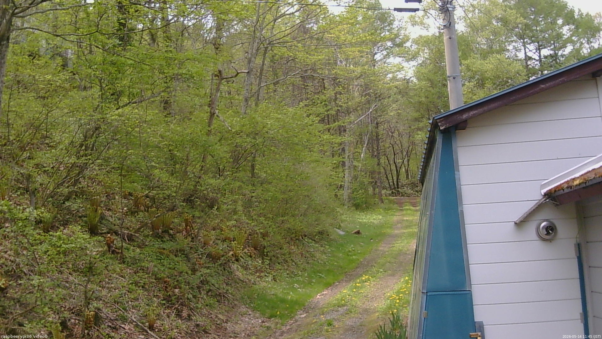 長野県菅平高原 ゆたか山荘 ゆたか山荘 2026/05/14 11:45