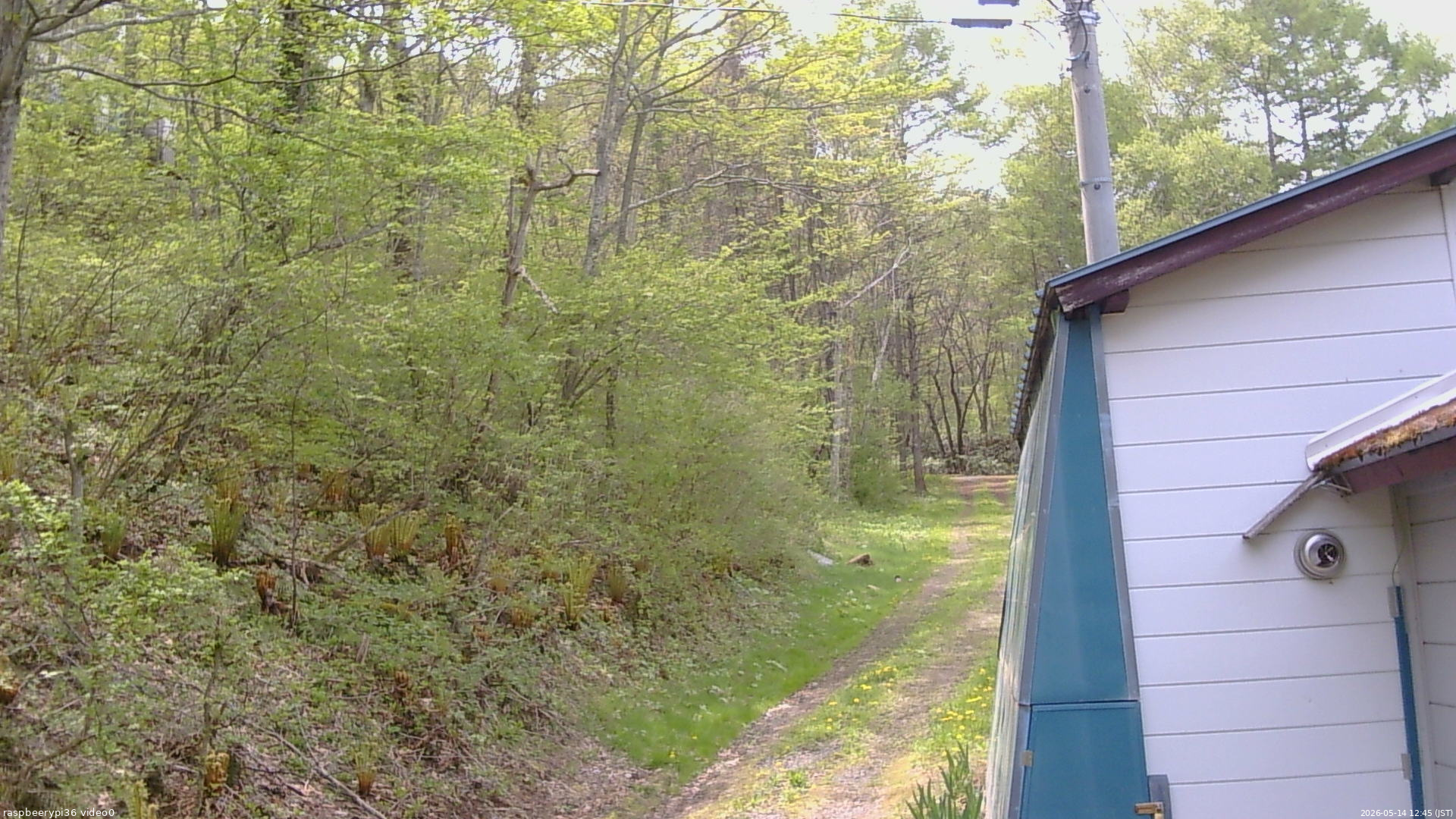 長野県菅平高原 ゆたか山荘 ゆたか山荘 2026/05/14 12:45