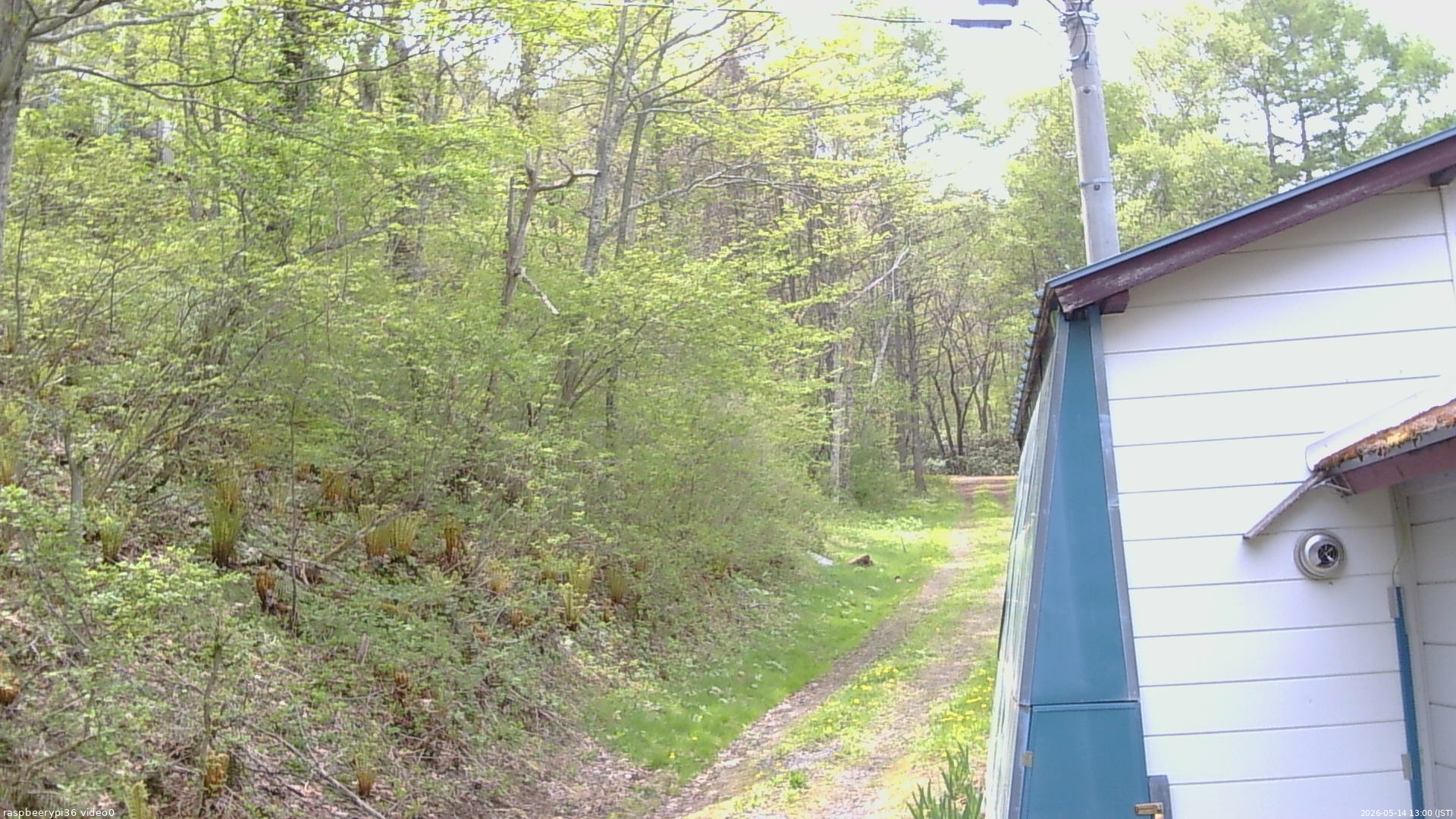 長野県菅平高原 ゆたか山荘 ゆたか山荘 2026/05/14 13:00
