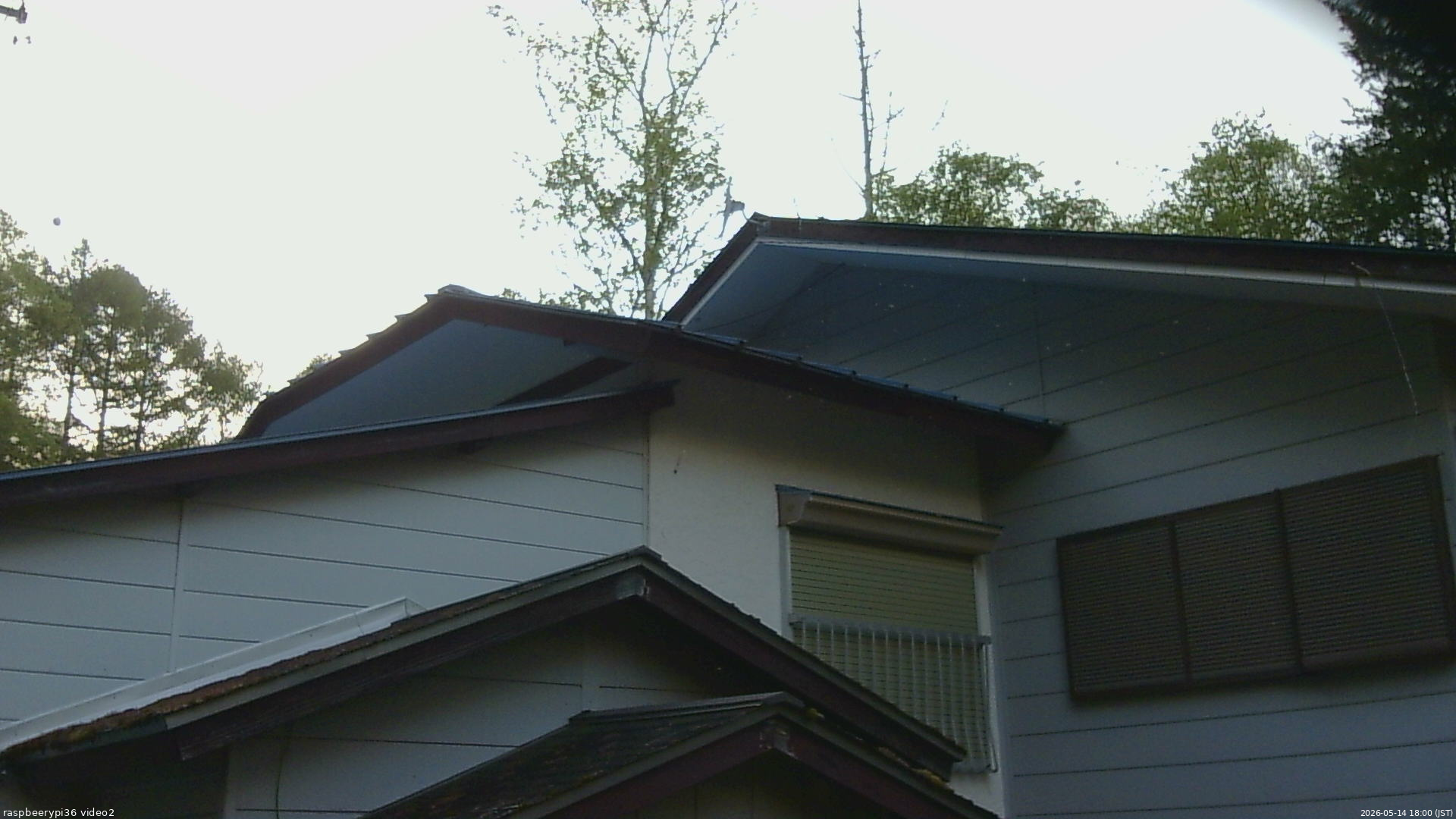 長野県菅平高原 ゆたか山荘 駐車場奥 2026/05/14 18:00