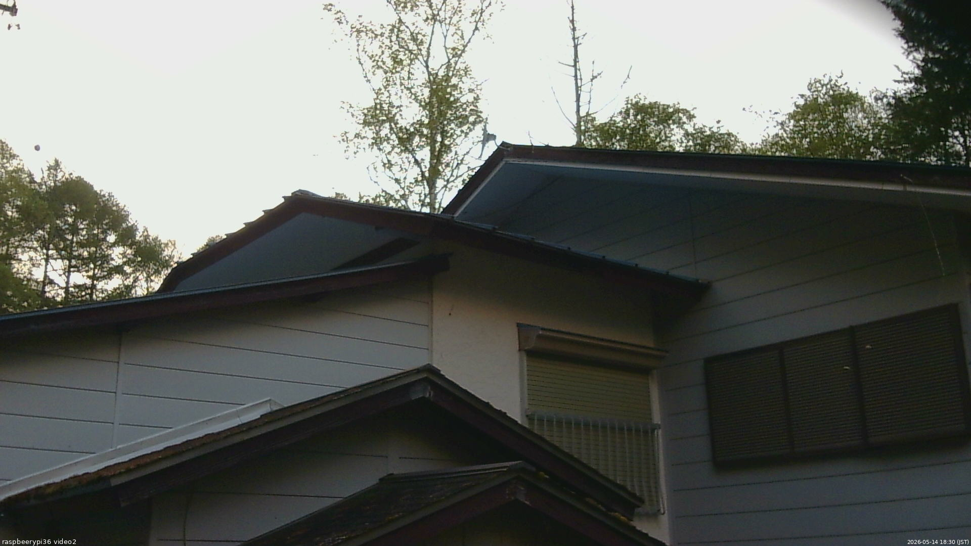 長野県菅平高原 ゆたか山荘 駐車場奥 2026/05/14 18:30