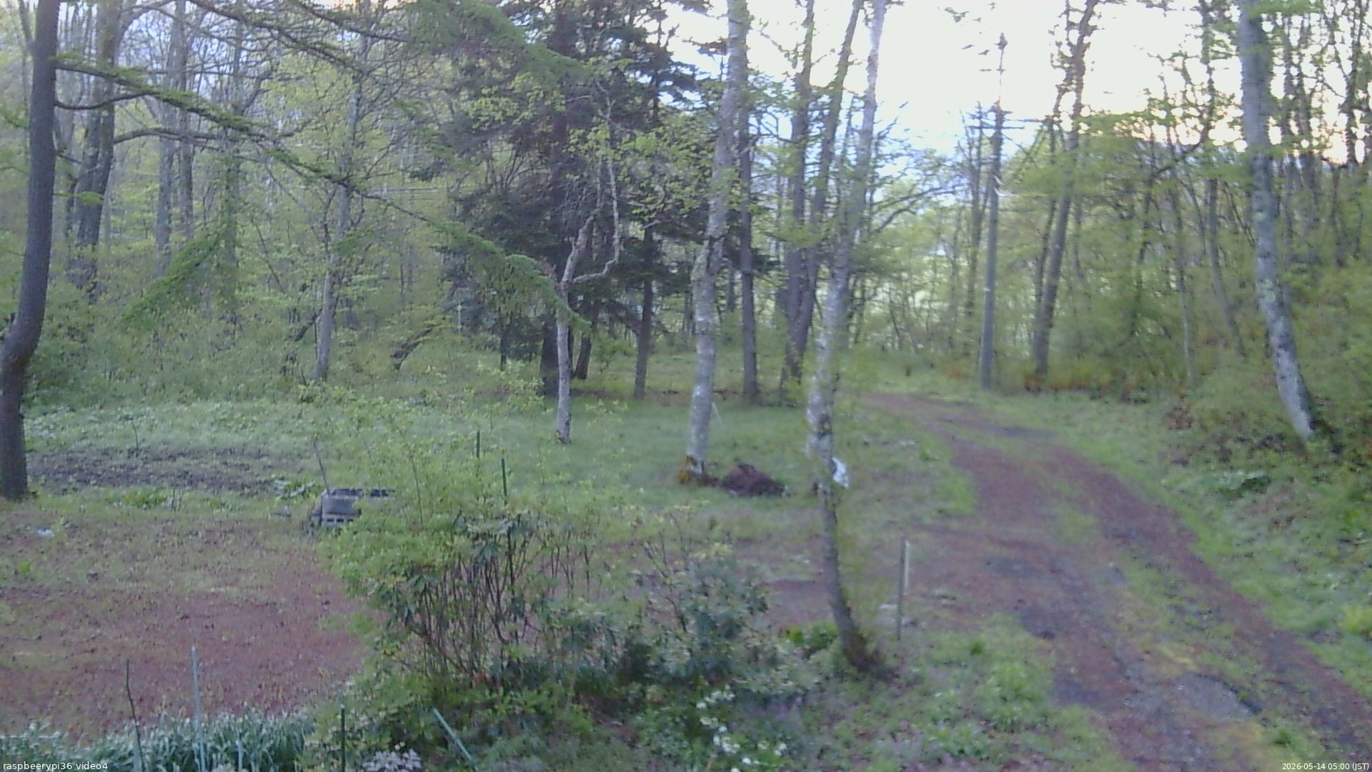 長野県菅平高原 ゆたか山荘 坂上 2026/05/14 05:00