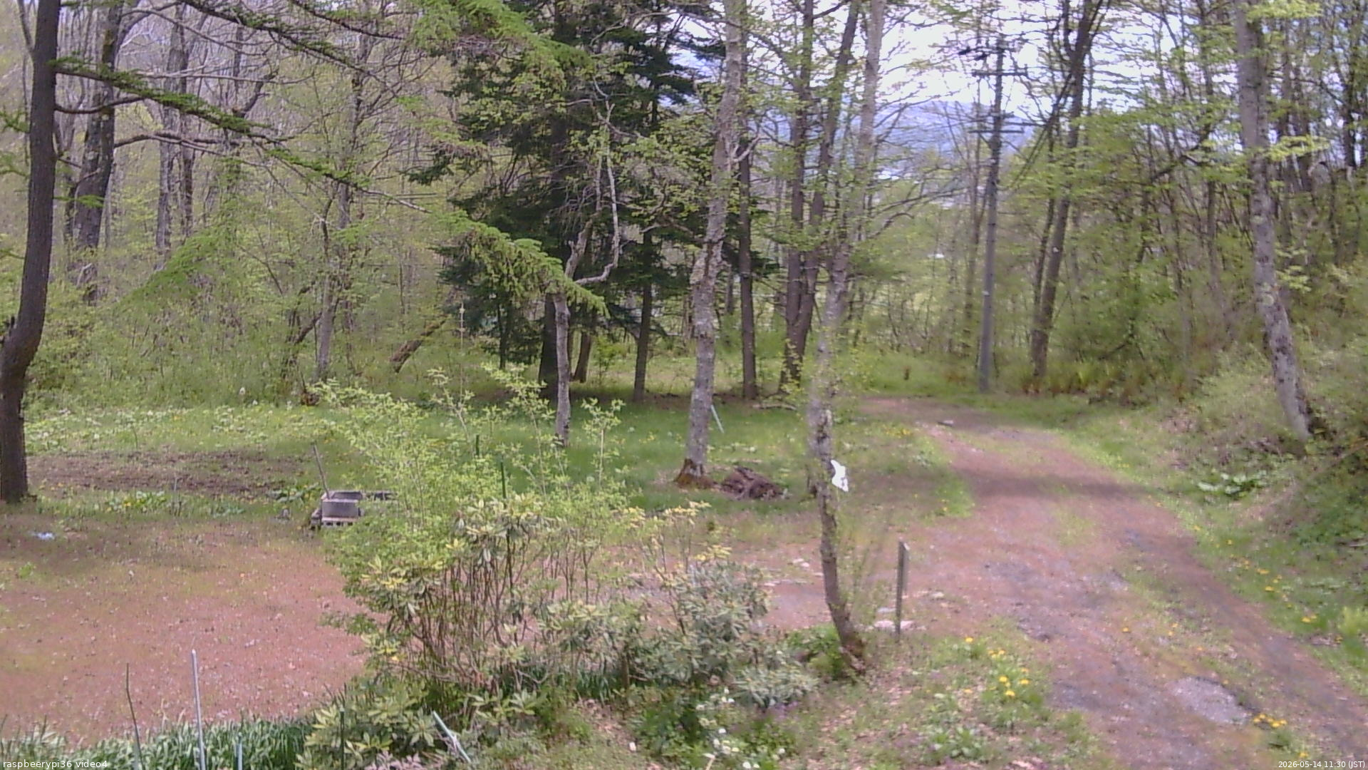 長野県菅平高原 ゆたか山荘 坂上 2026/05/14 11:30