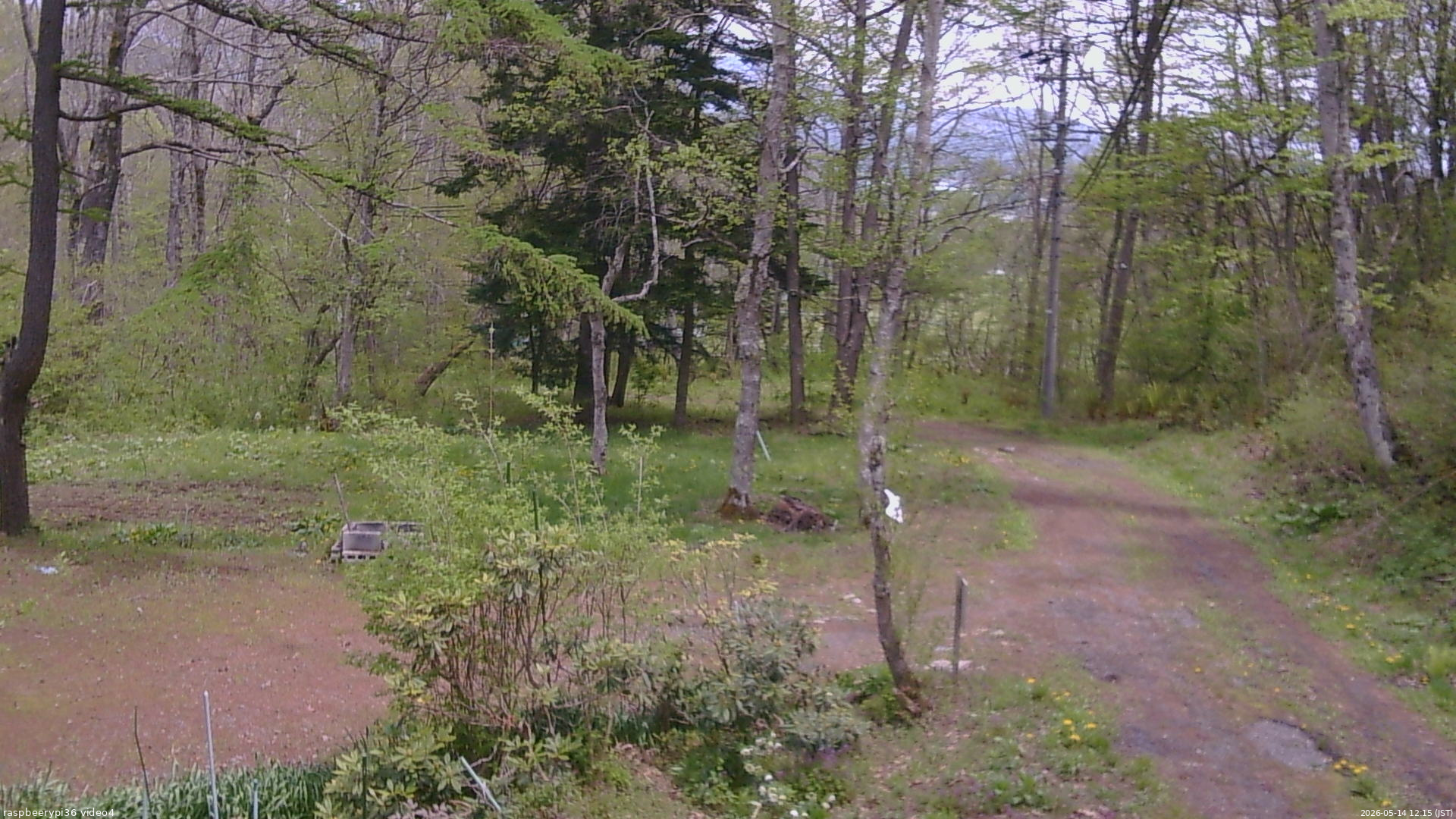 長野県菅平高原 ゆたか山荘 坂上 2026/05/14 12:15