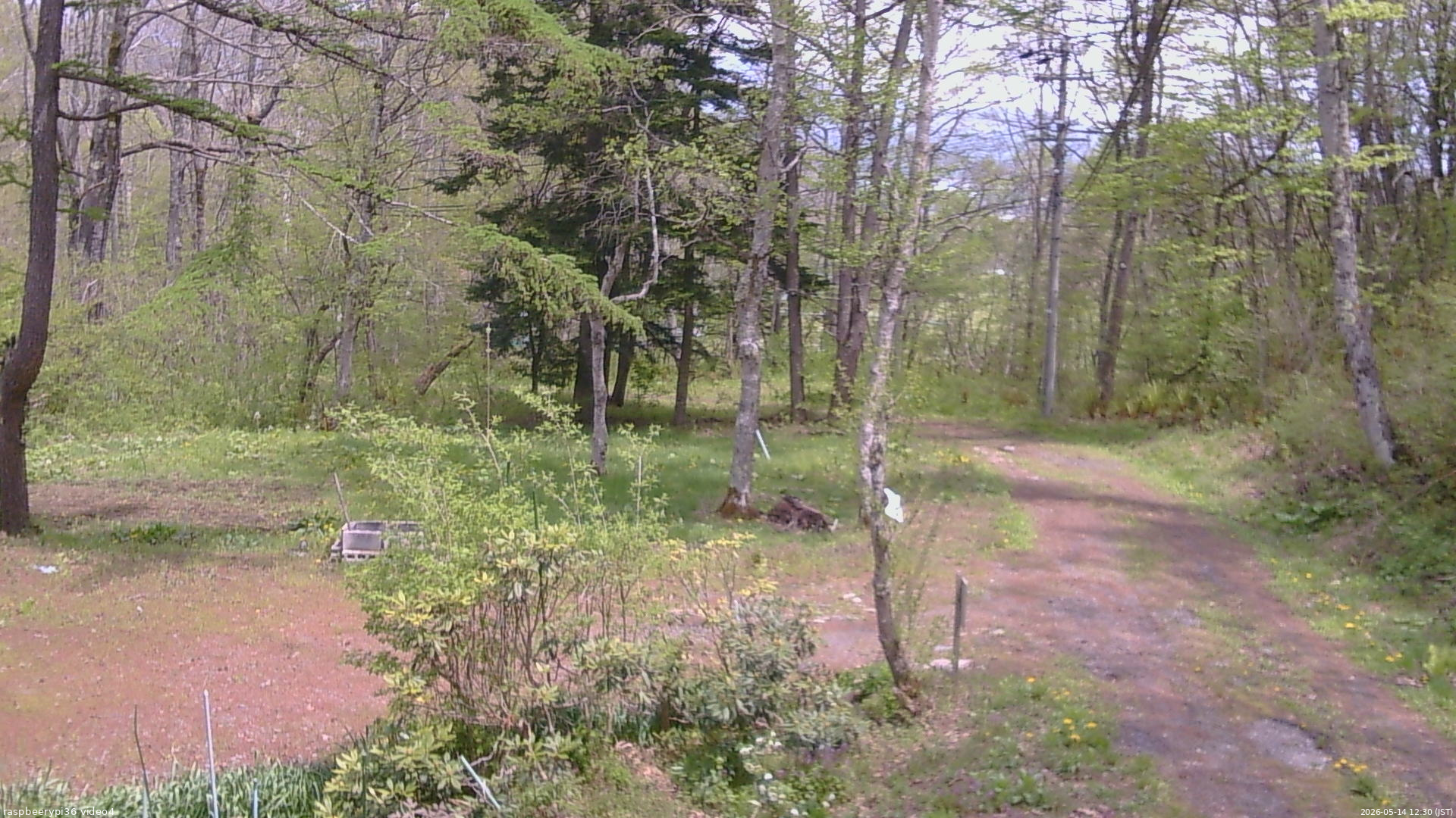 長野県菅平高原 ゆたか山荘 坂上 2026/05/14 12:30