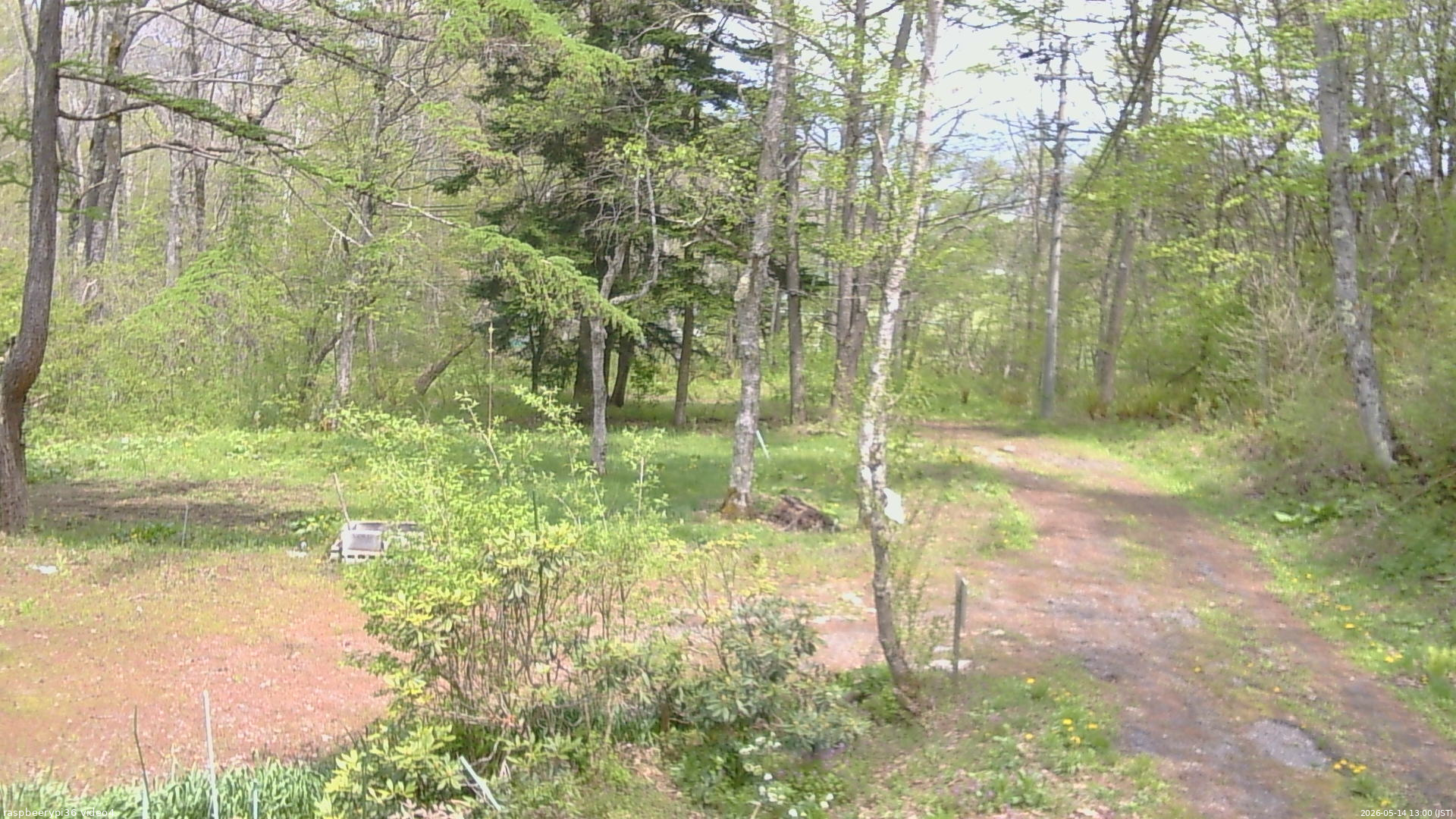 長野県菅平高原 ゆたか山荘 坂上 2026/05/14 13:00