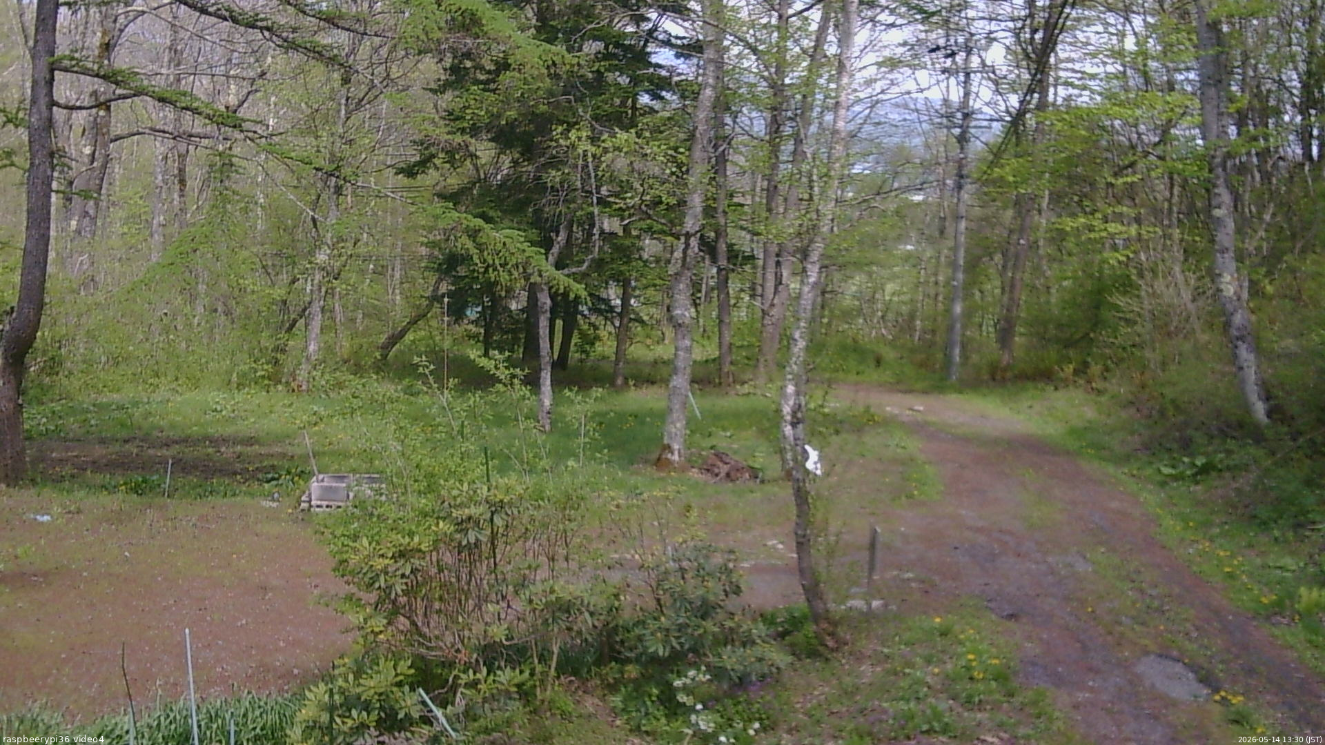 長野県菅平高原 ゆたか山荘 坂上 2026/05/14 13:30