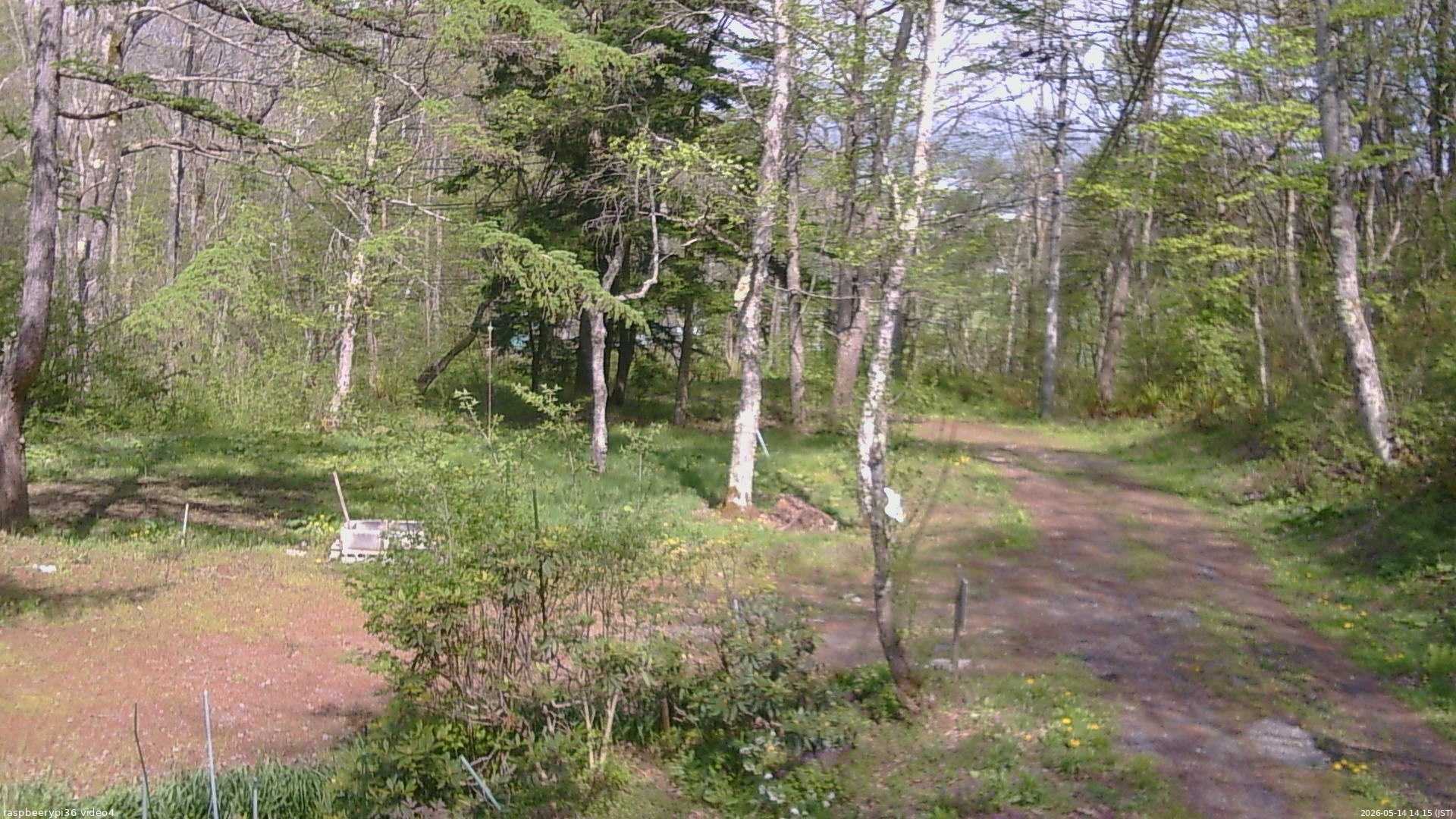 長野県菅平高原 ゆたか山荘 坂上 2026/05/14 14:15
