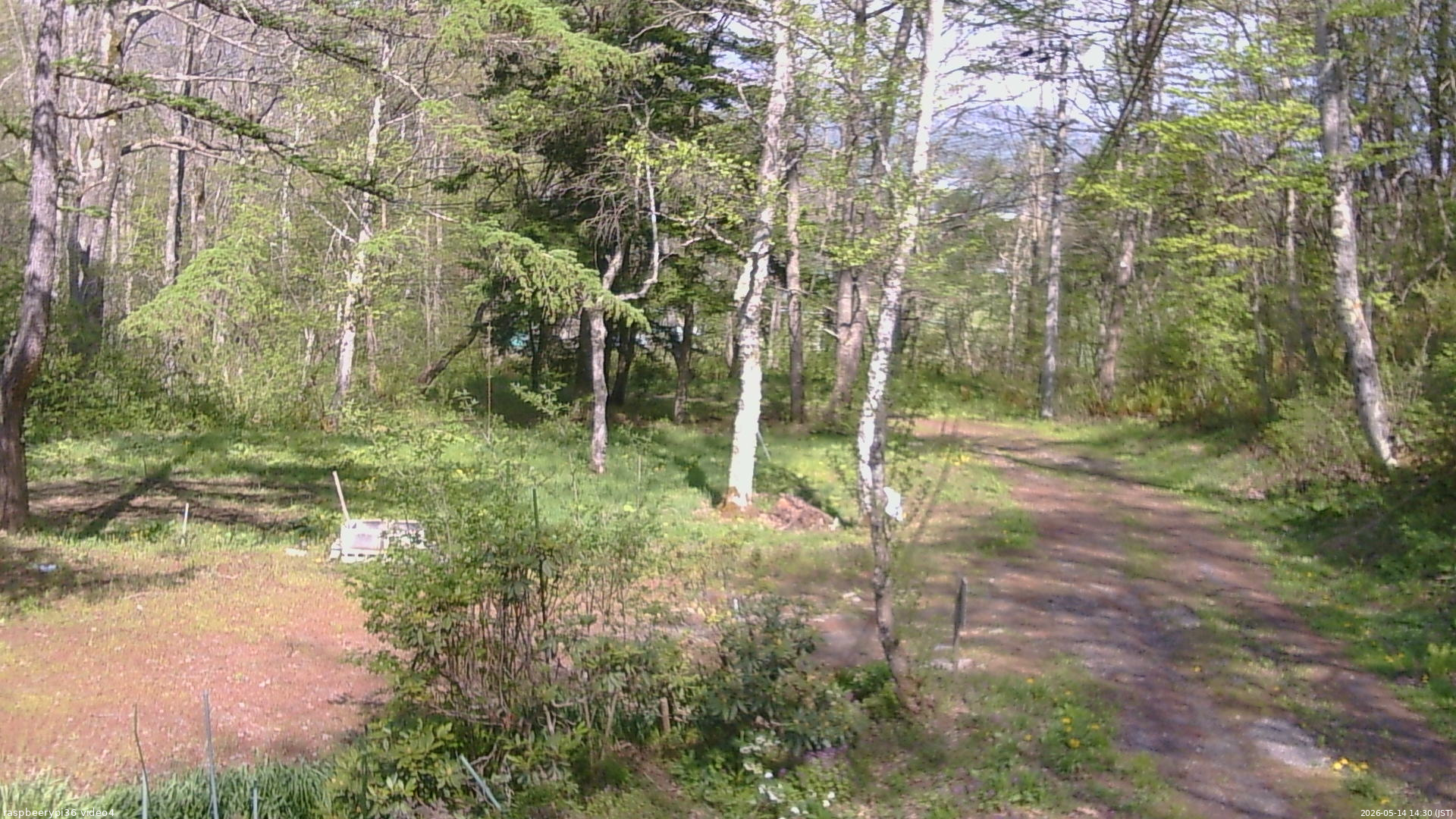 長野県菅平高原 ゆたか山荘 坂上 2026/05/14 14:30