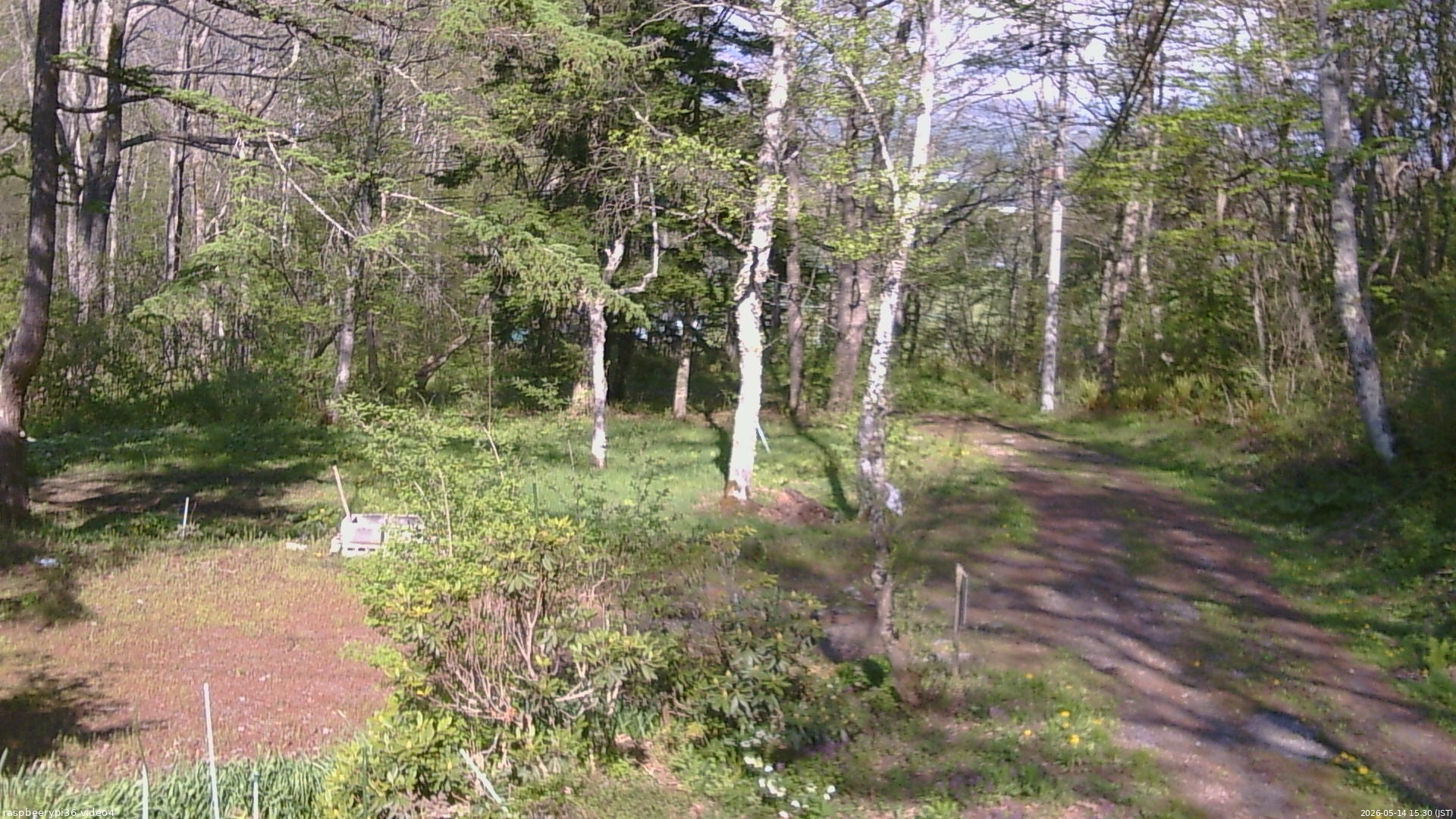 長野県菅平高原 ゆたか山荘 坂上 2026/05/14 15:30