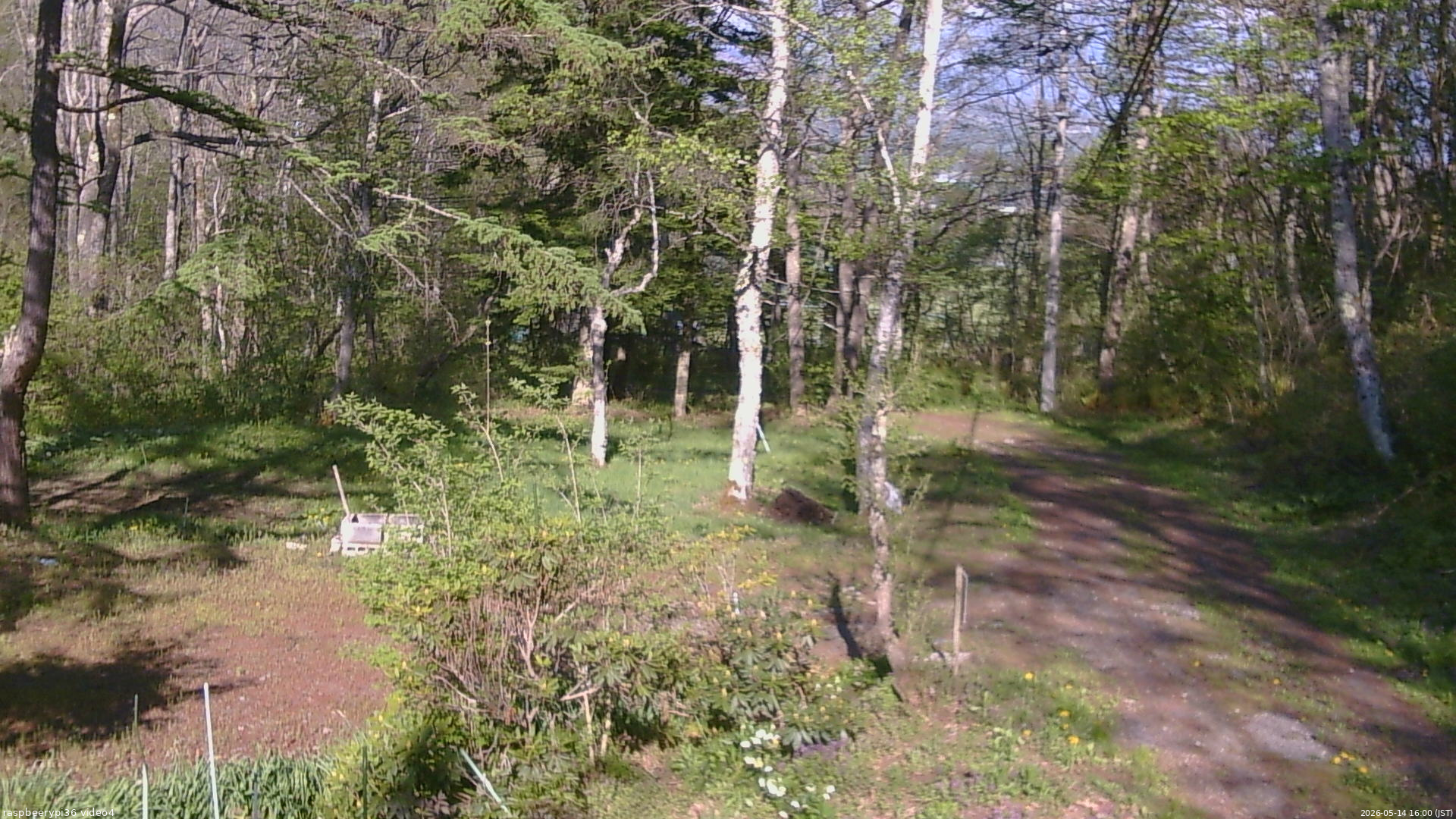 長野県菅平高原 ゆたか山荘 坂上 2026/05/14 16:00