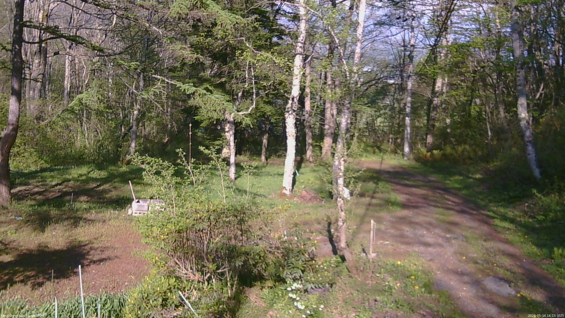 長野県菅平高原 ゆたか山荘 坂上 2026/05/14 16:15