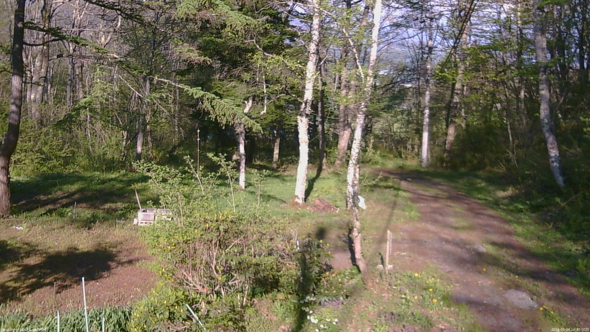 長野県菅平高原 ゆたか山荘 坂上 2026/05/14 16:30