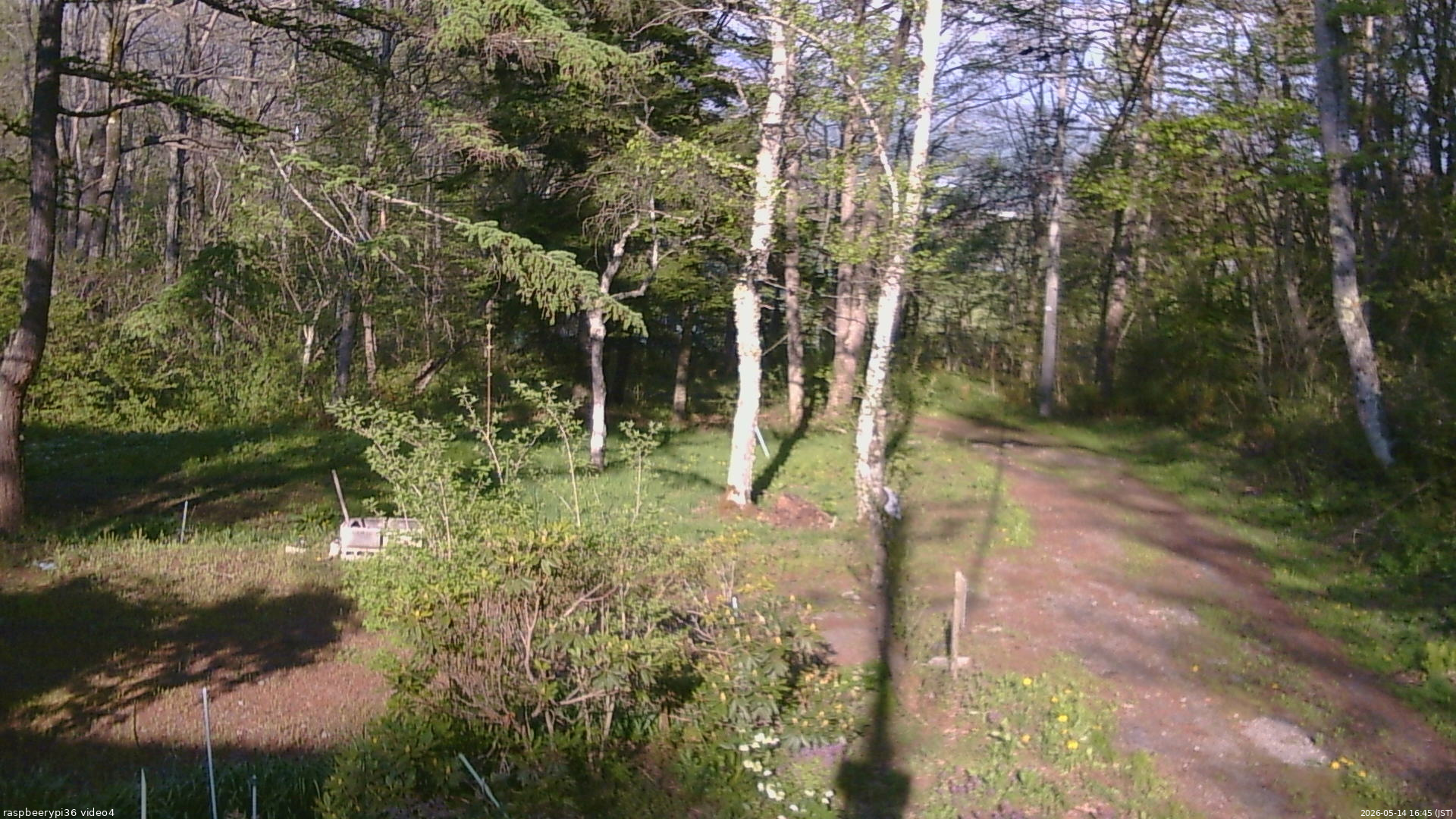 長野県菅平高原 ゆたか山荘 坂上 2026/05/14 16:45