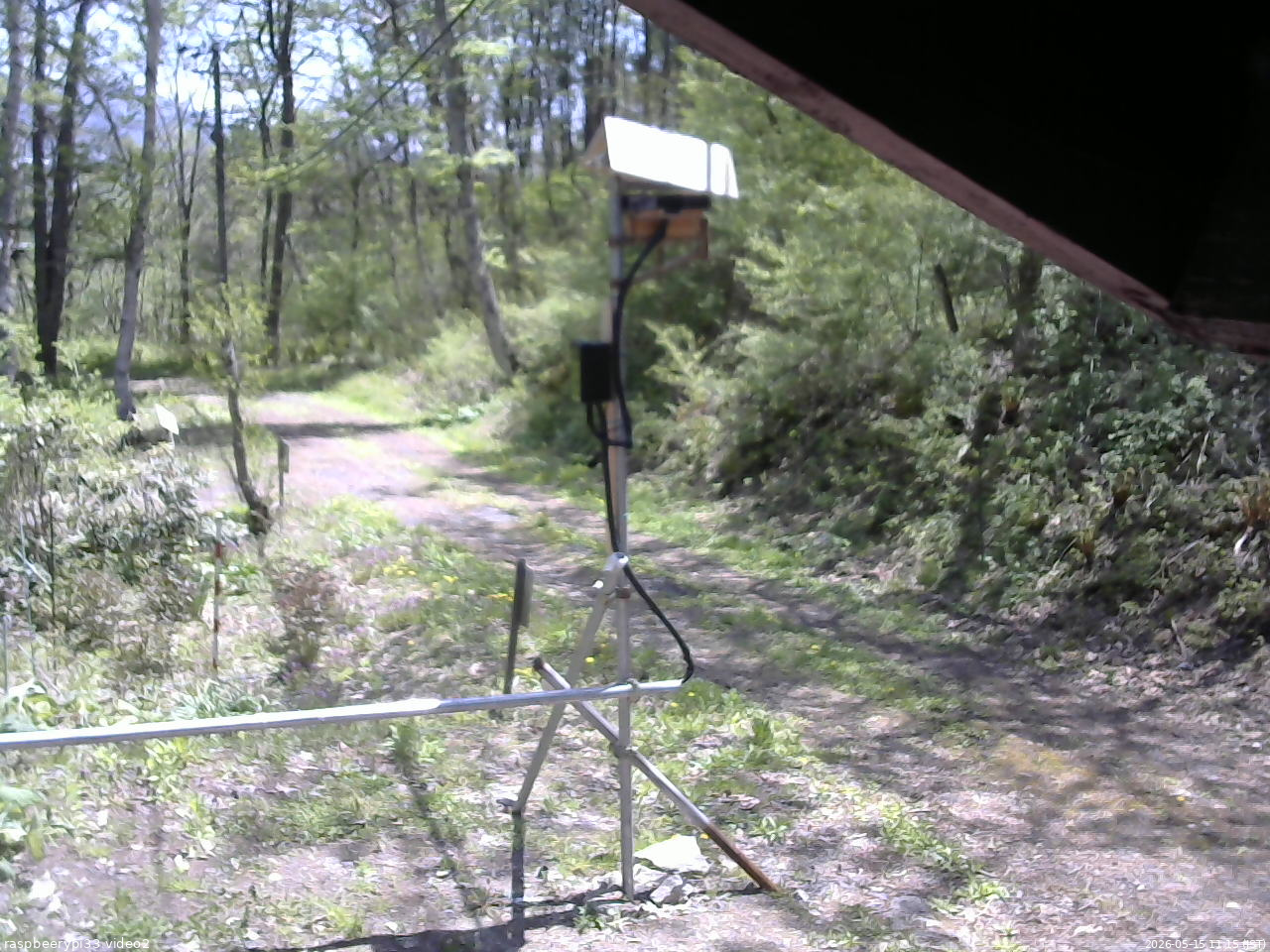 長野県菅平高原 ゆたか山荘 南側 2026/05/15 11:15