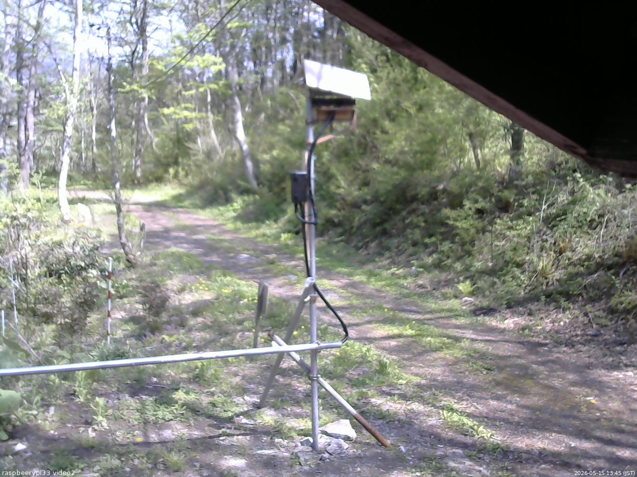 長野県菅平高原 ゆたか山荘 南側 2026/05/15 13:45