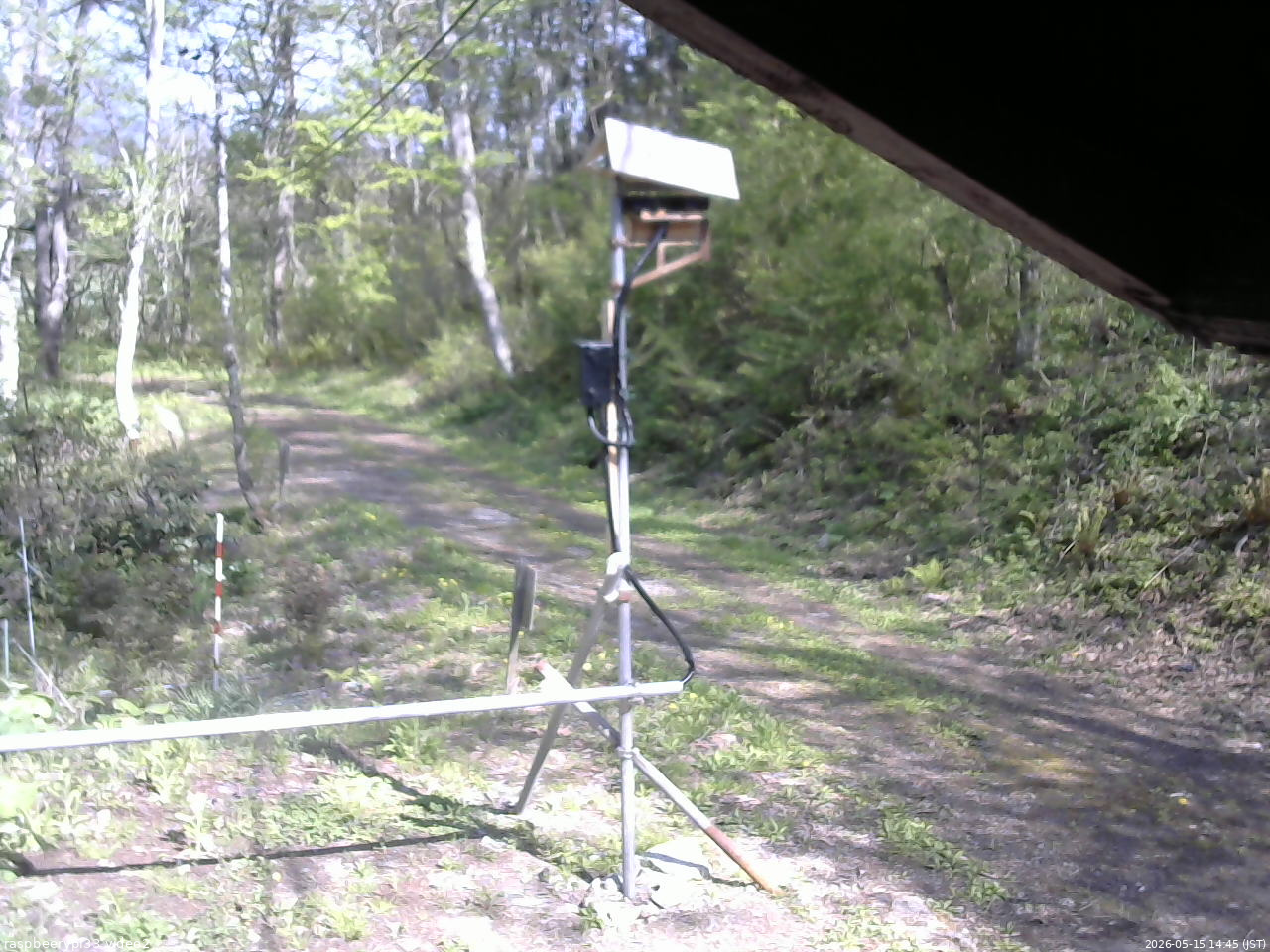 長野県菅平高原 ゆたか山荘 南側 2026/05/15 14:45