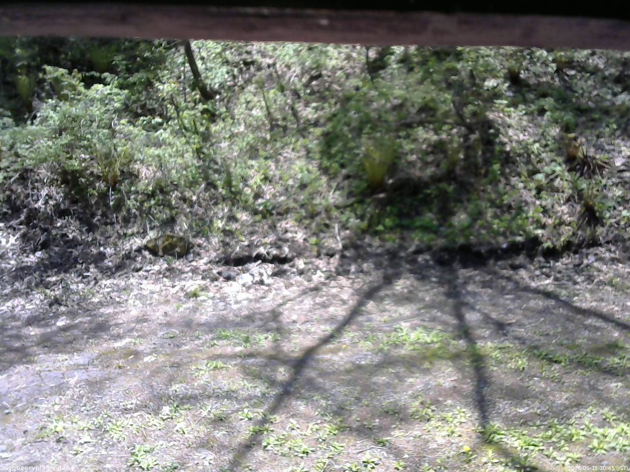 長野県菅平高原 ゆたか山荘 東側(坂下) 2026/05/15 10:45