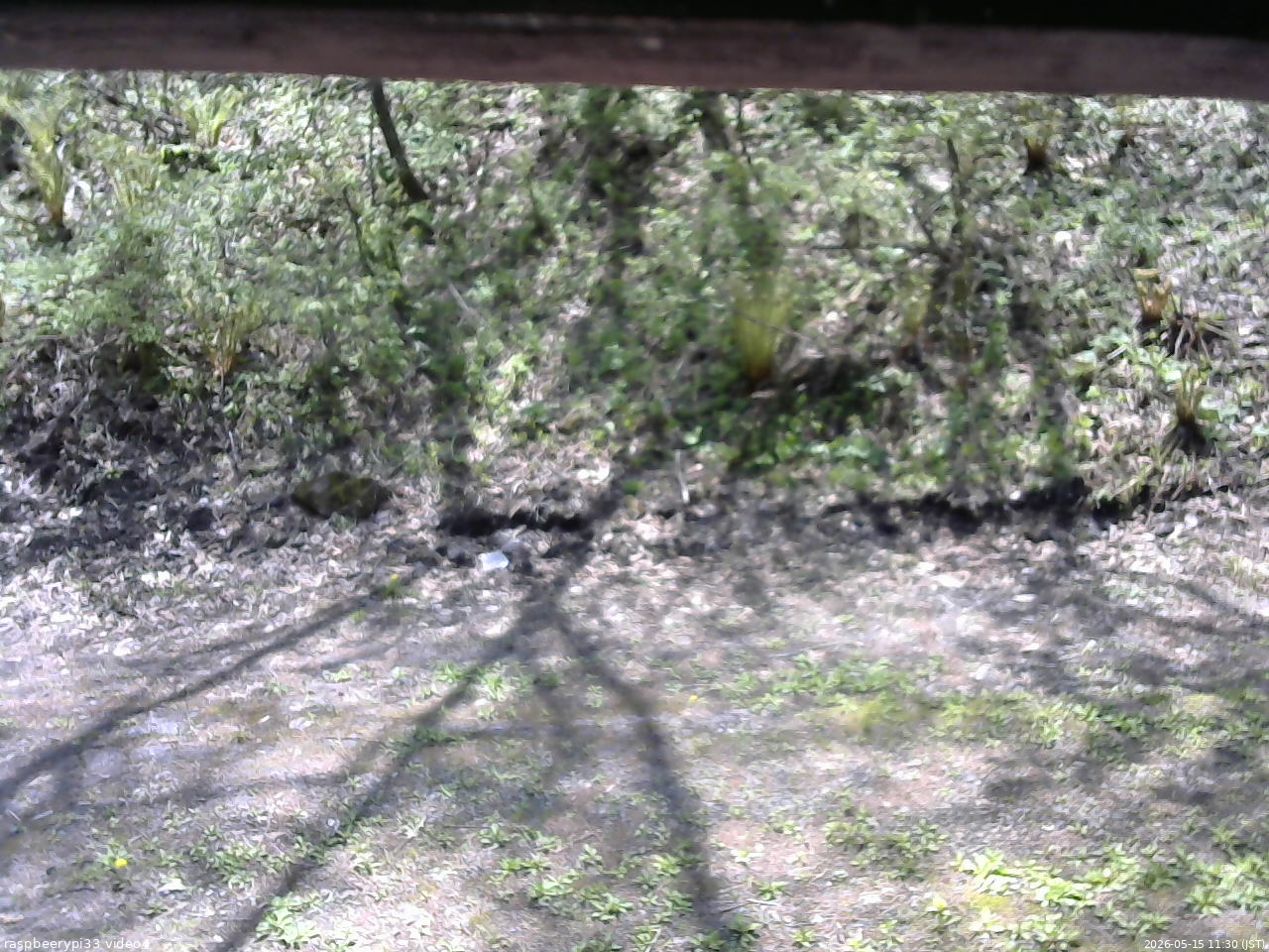 長野県菅平高原 ゆたか山荘 東側(坂下) 2026/05/15 11:30