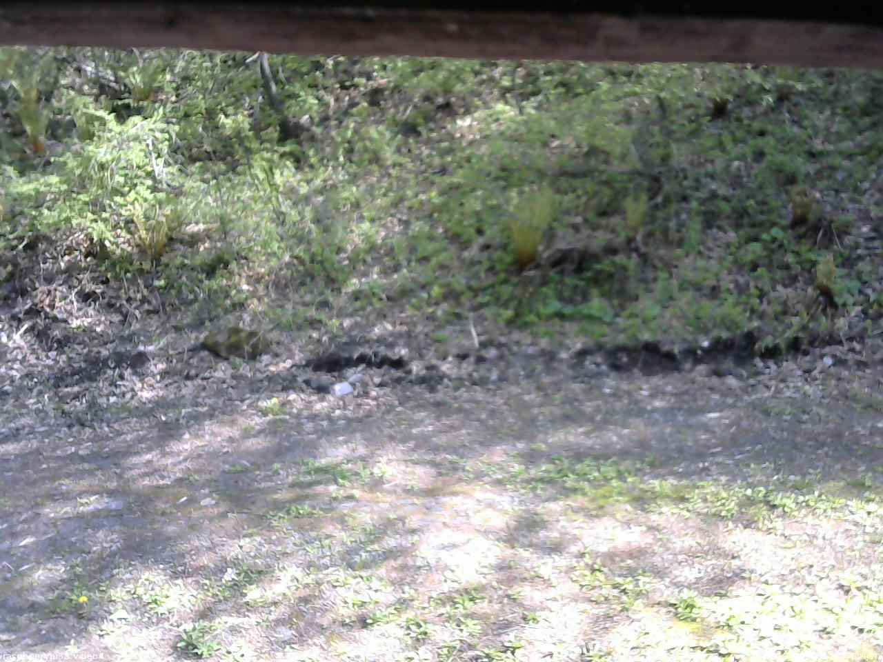 長野県菅平高原 ゆたか山荘 東側(坂下) 2026/05/15 14:30
