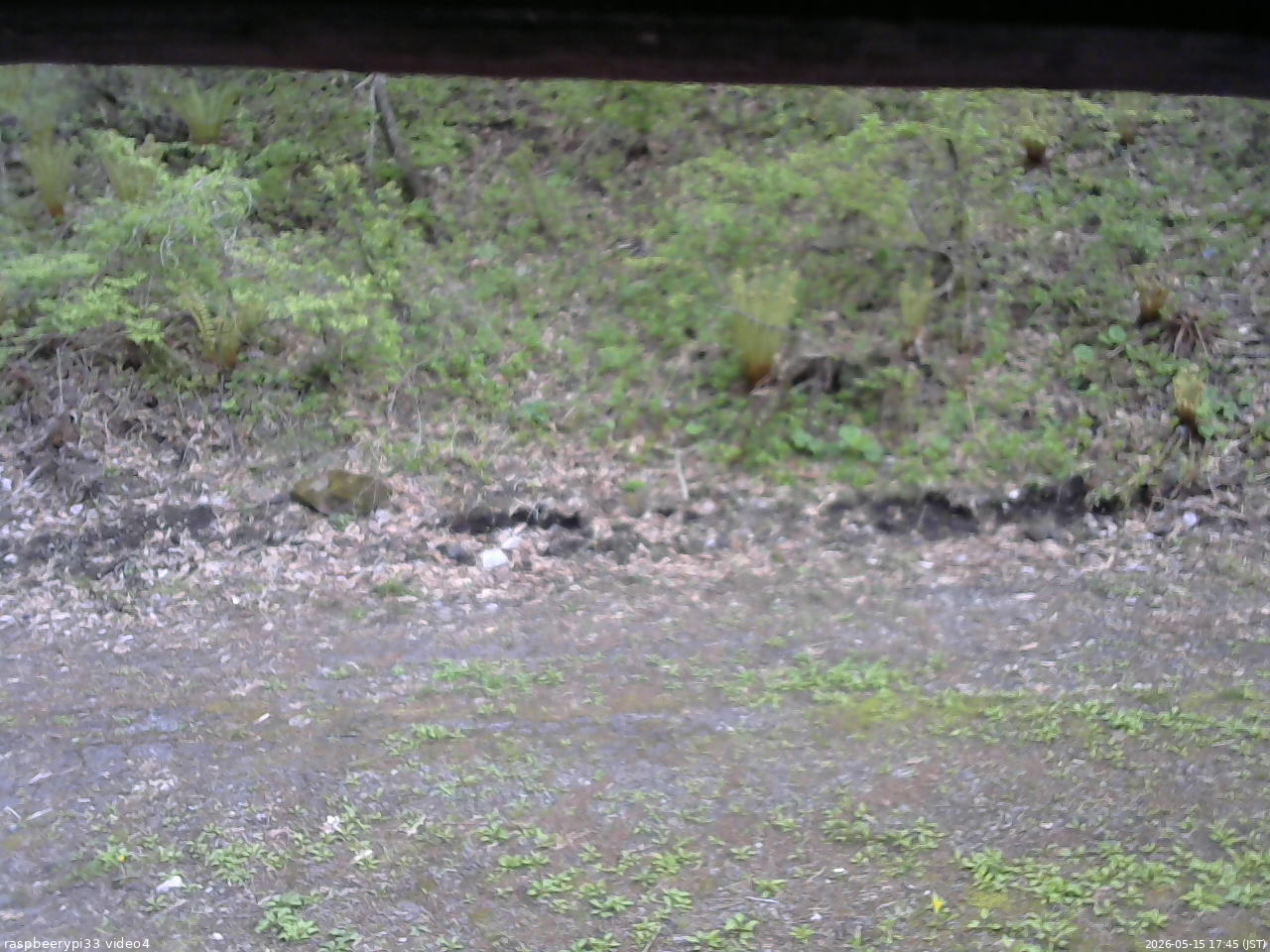長野県菅平高原 ゆたか山荘 東側(坂下) 2026/05/15 17:45