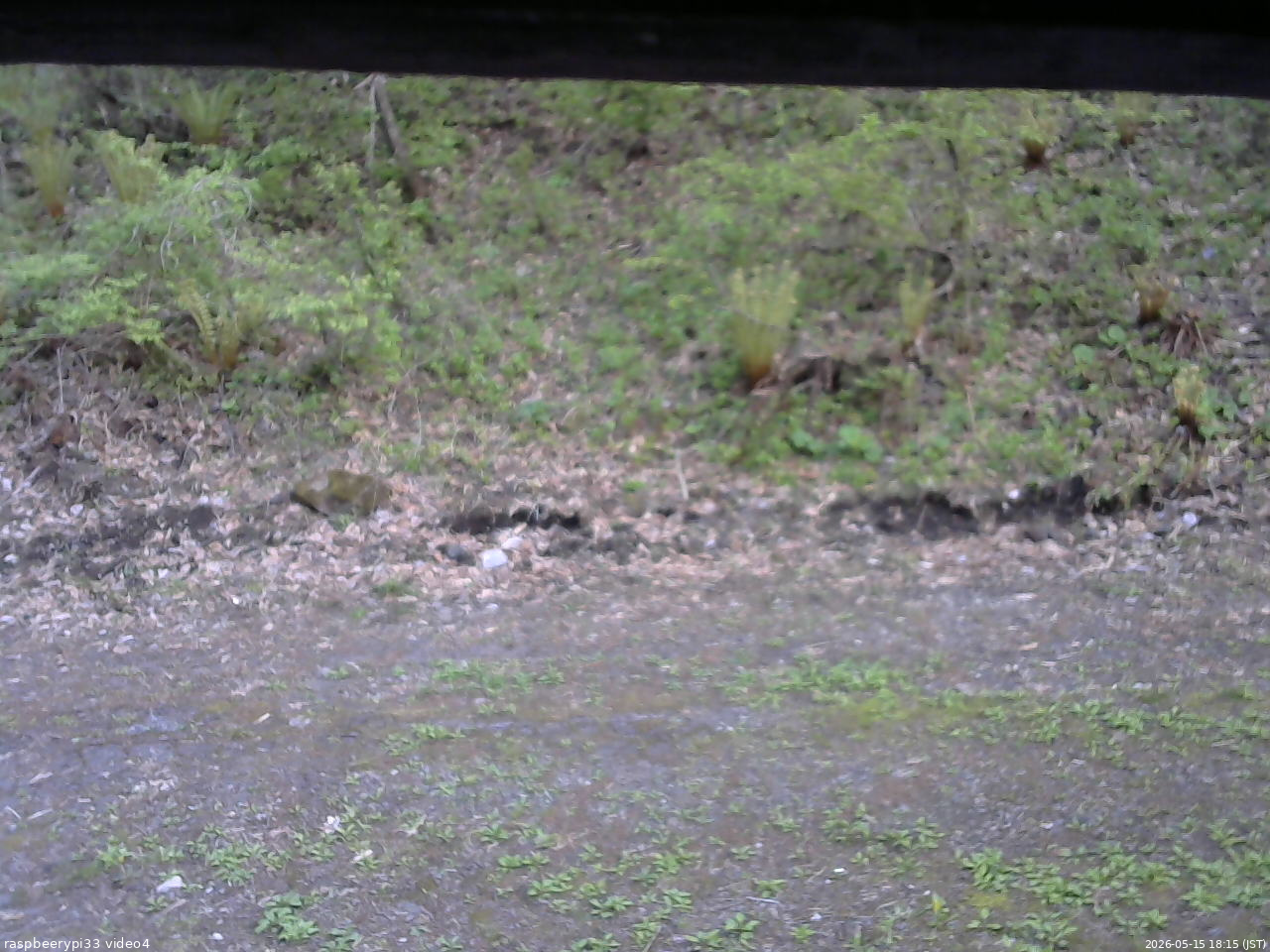 長野県菅平高原 ゆたか山荘 東側(坂下) 2026/05/15 18:15