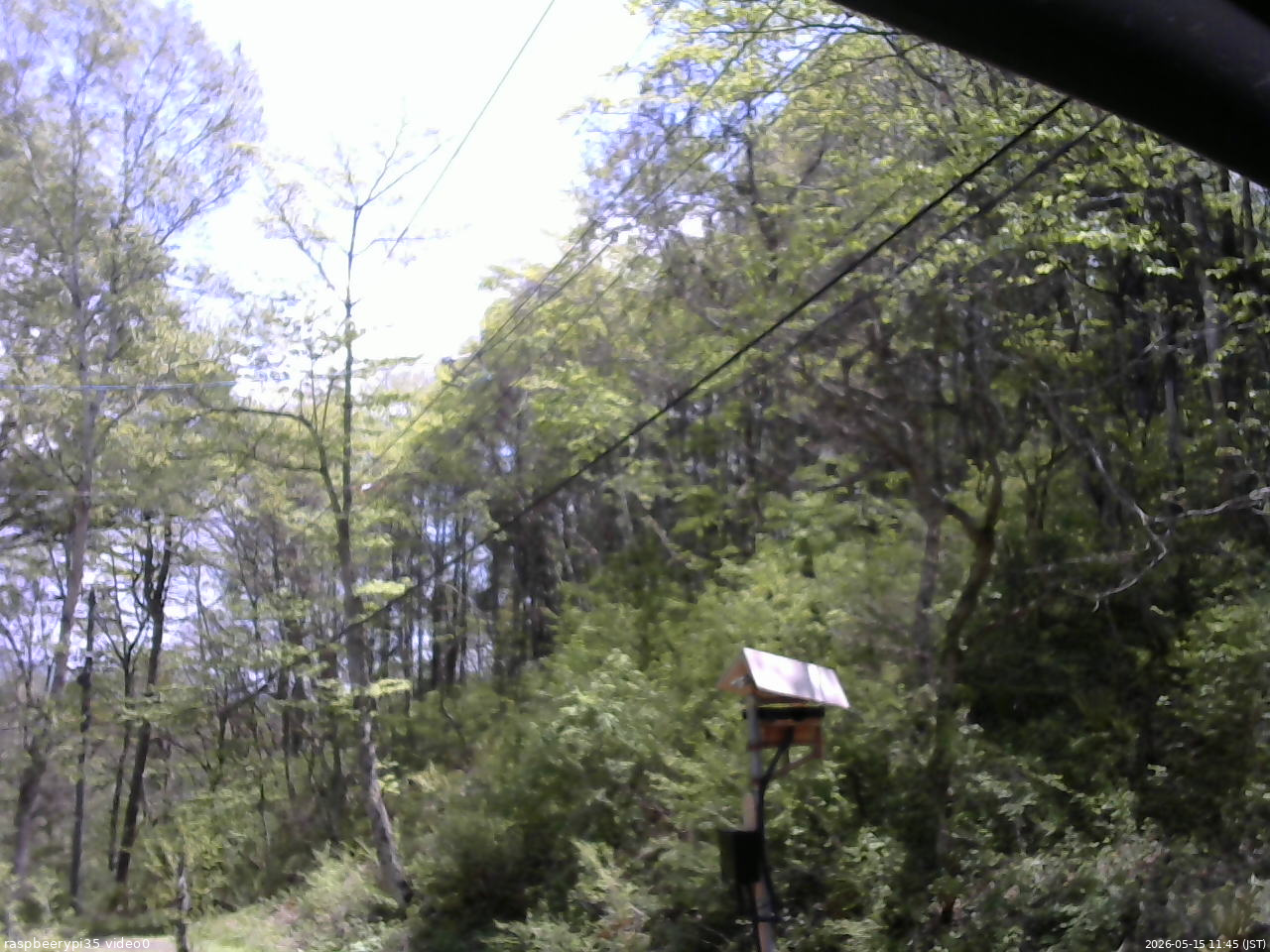 長野県菅平高原 ゆたか山荘 温度計 2026/05/15 11:45