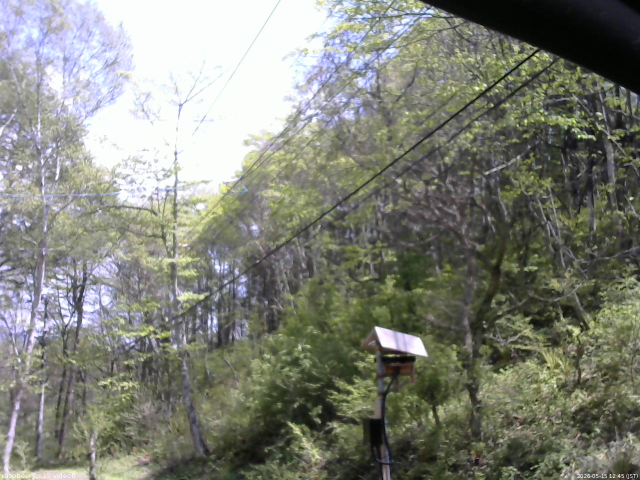 長野県菅平高原 ゆたか山荘 温度計 2026/05/15 12:45