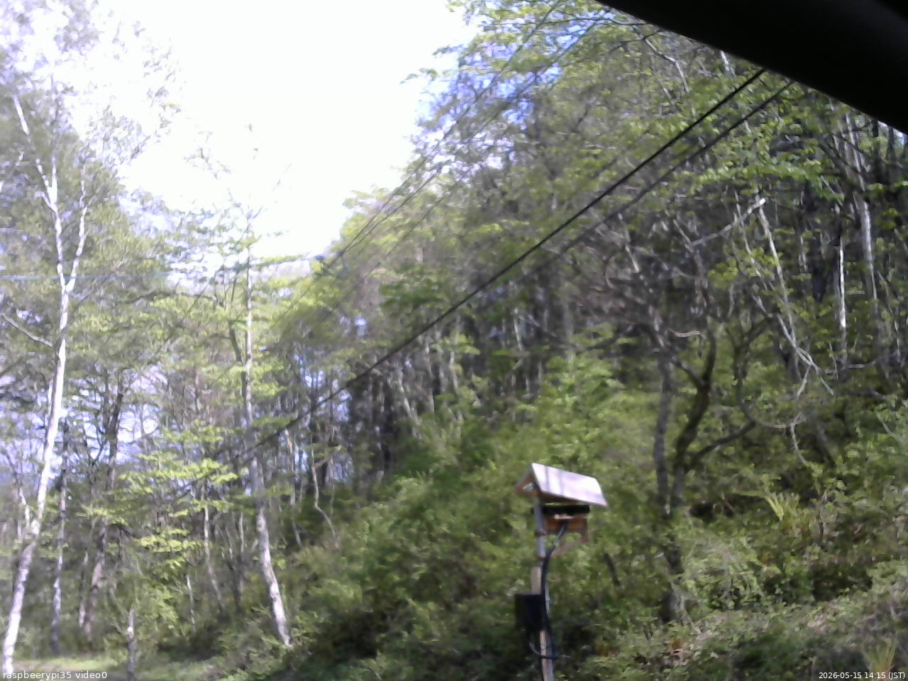 長野県菅平高原 ゆたか山荘 温度計 2026/05/15 14:15
