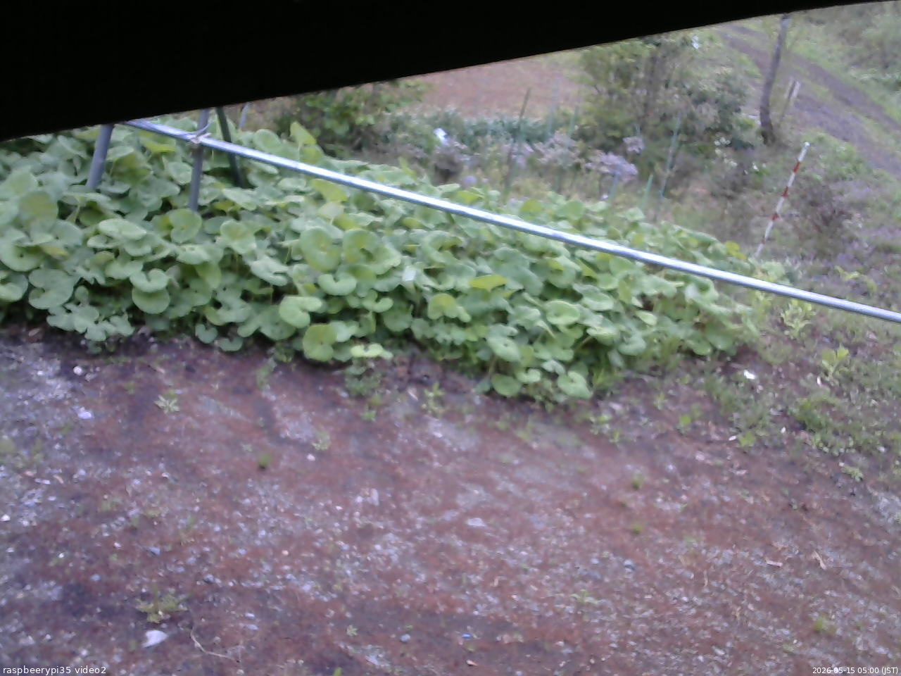 長野県菅平高原 ゆたか山荘 駐車場 2026/05/15 05:00