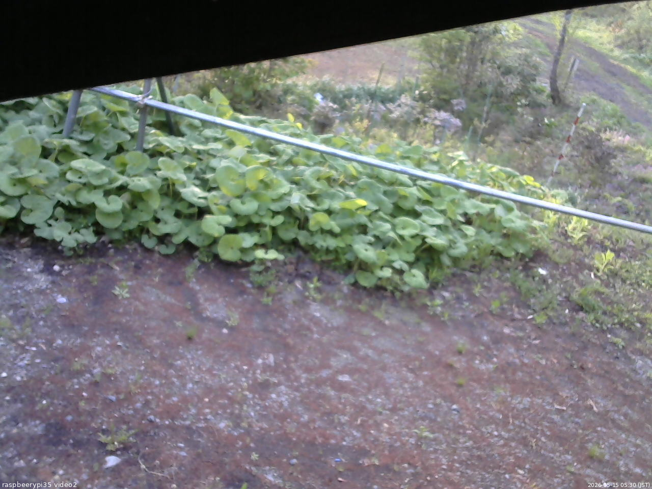 長野県菅平高原 ゆたか山荘 駐車場 2026/05/15 05:30