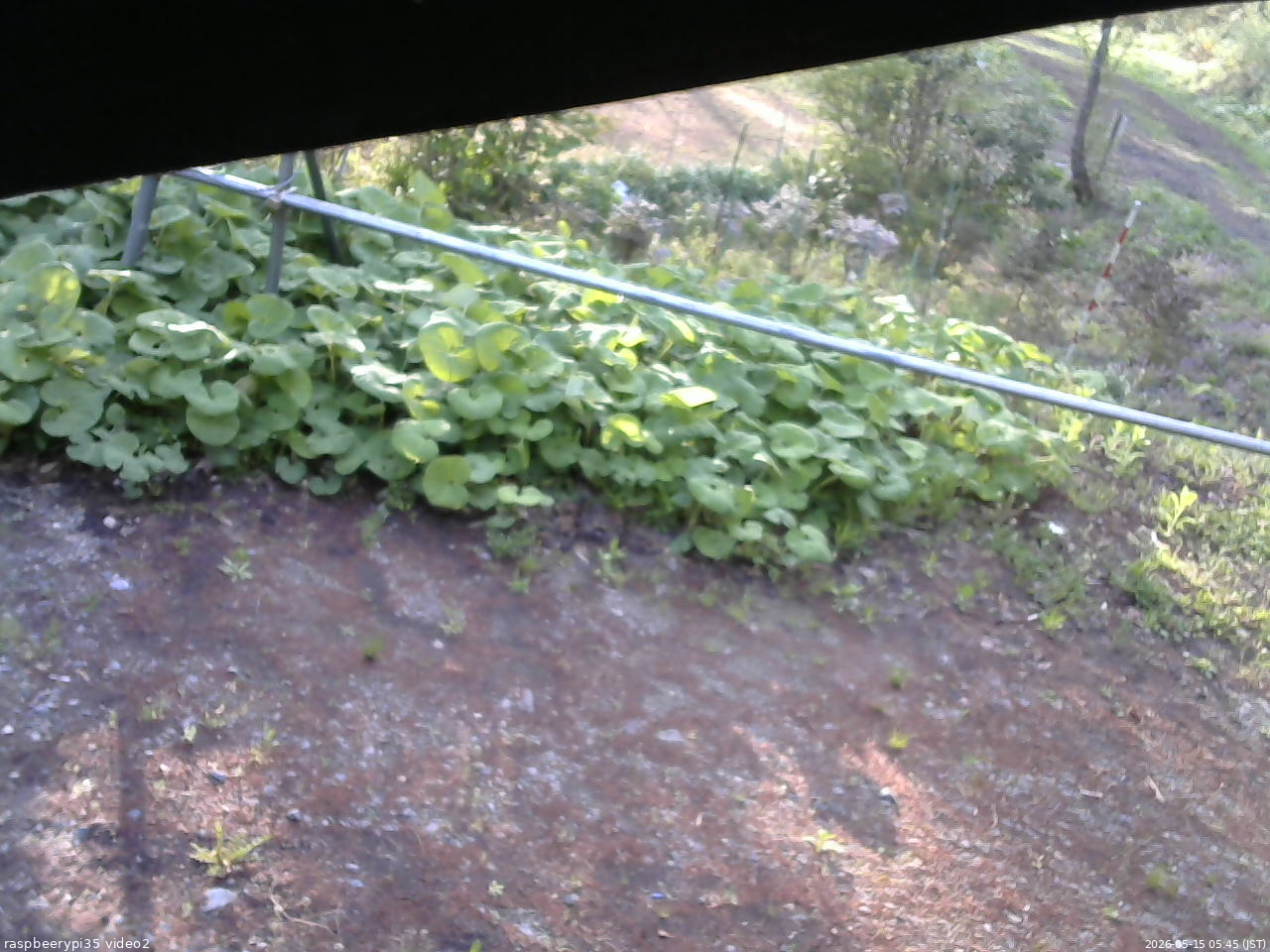 長野県菅平高原 ゆたか山荘 駐車場 2026/05/15 05:45