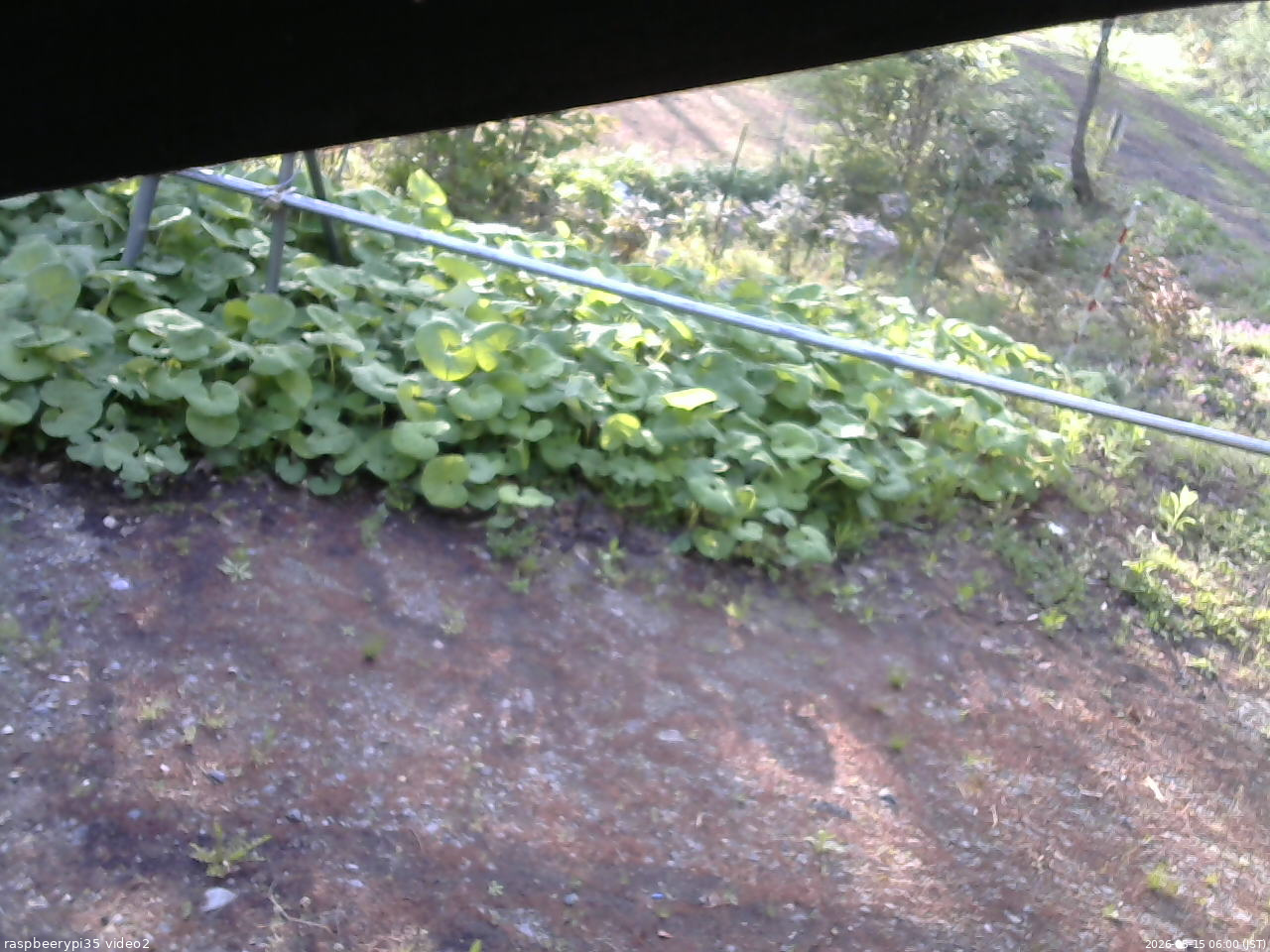 長野県菅平高原 ゆたか山荘 駐車場 2026/05/15 06:00