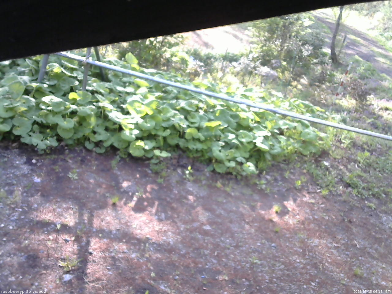 長野県菅平高原 ゆたか山荘 駐車場 2026/05/15 06:15