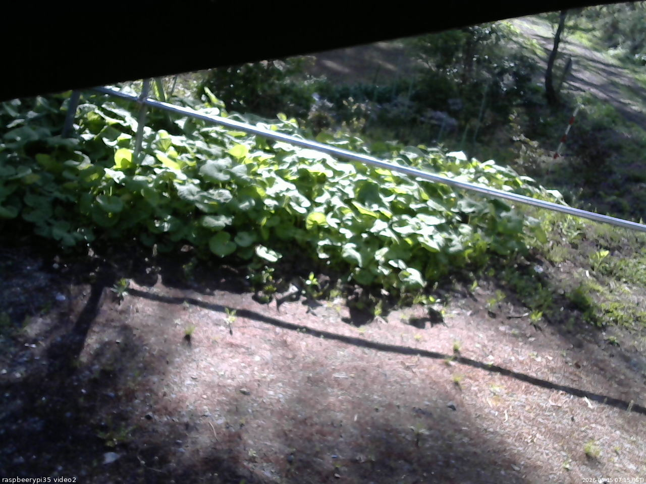 長野県菅平高原 ゆたか山荘 駐車場 2026/05/15 07:15