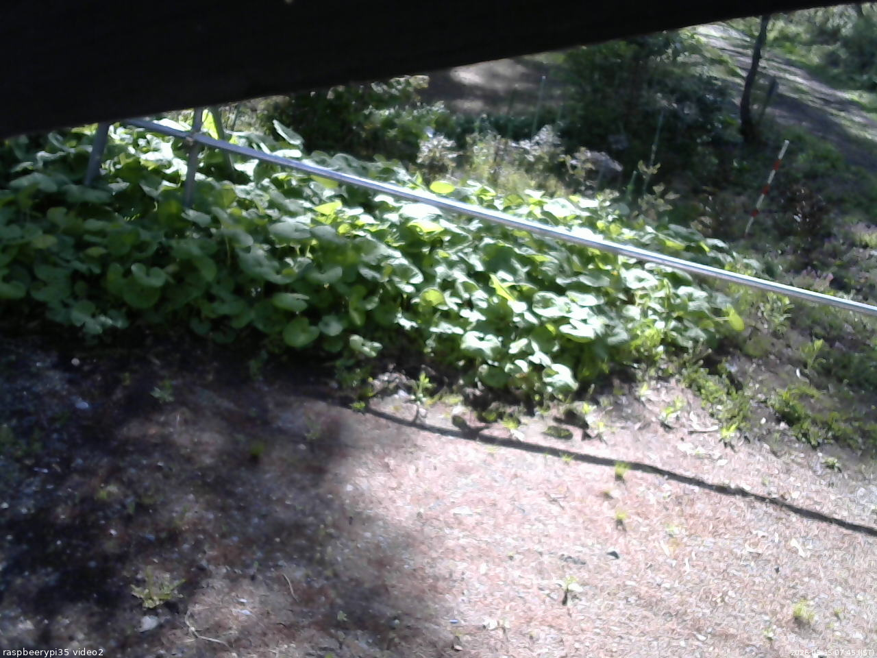 長野県菅平高原 ゆたか山荘 駐車場 2026/05/15 07:45