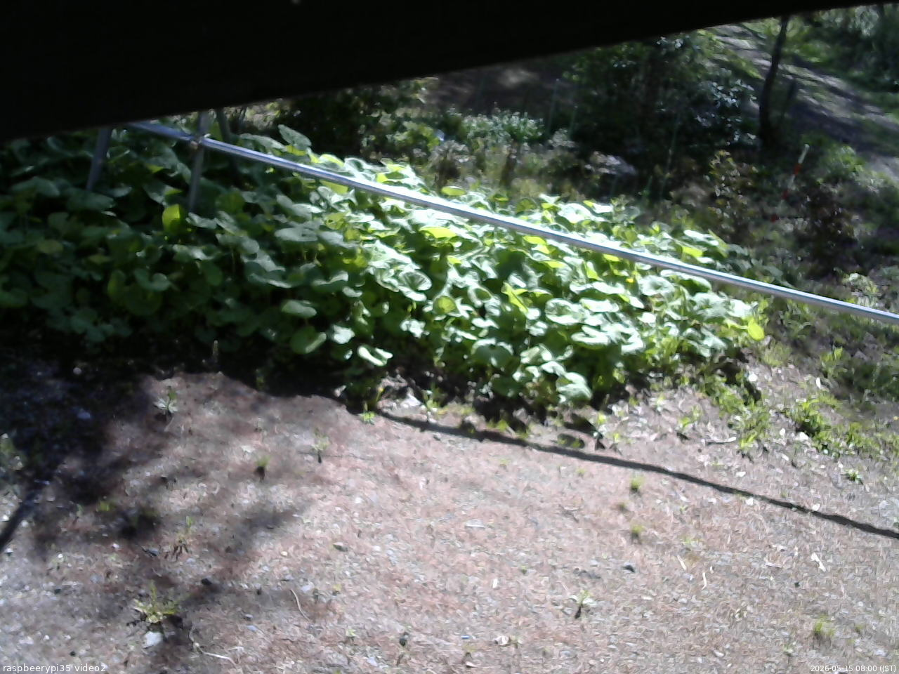 長野県菅平高原 ゆたか山荘 駐車場 2026/05/15 08:00