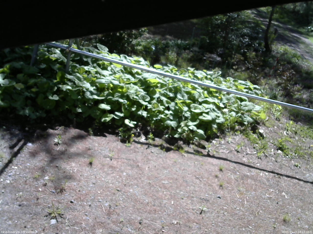 長野県菅平高原 ゆたか山荘 駐車場 2026/05/15 08:15