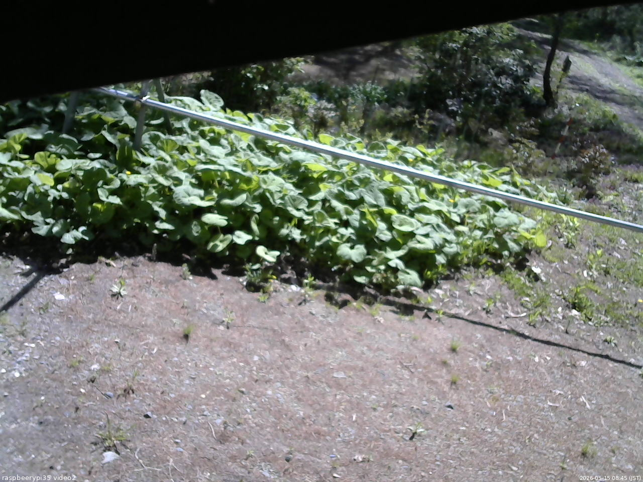長野県菅平高原 ゆたか山荘 駐車場 2026/05/15 08:45
