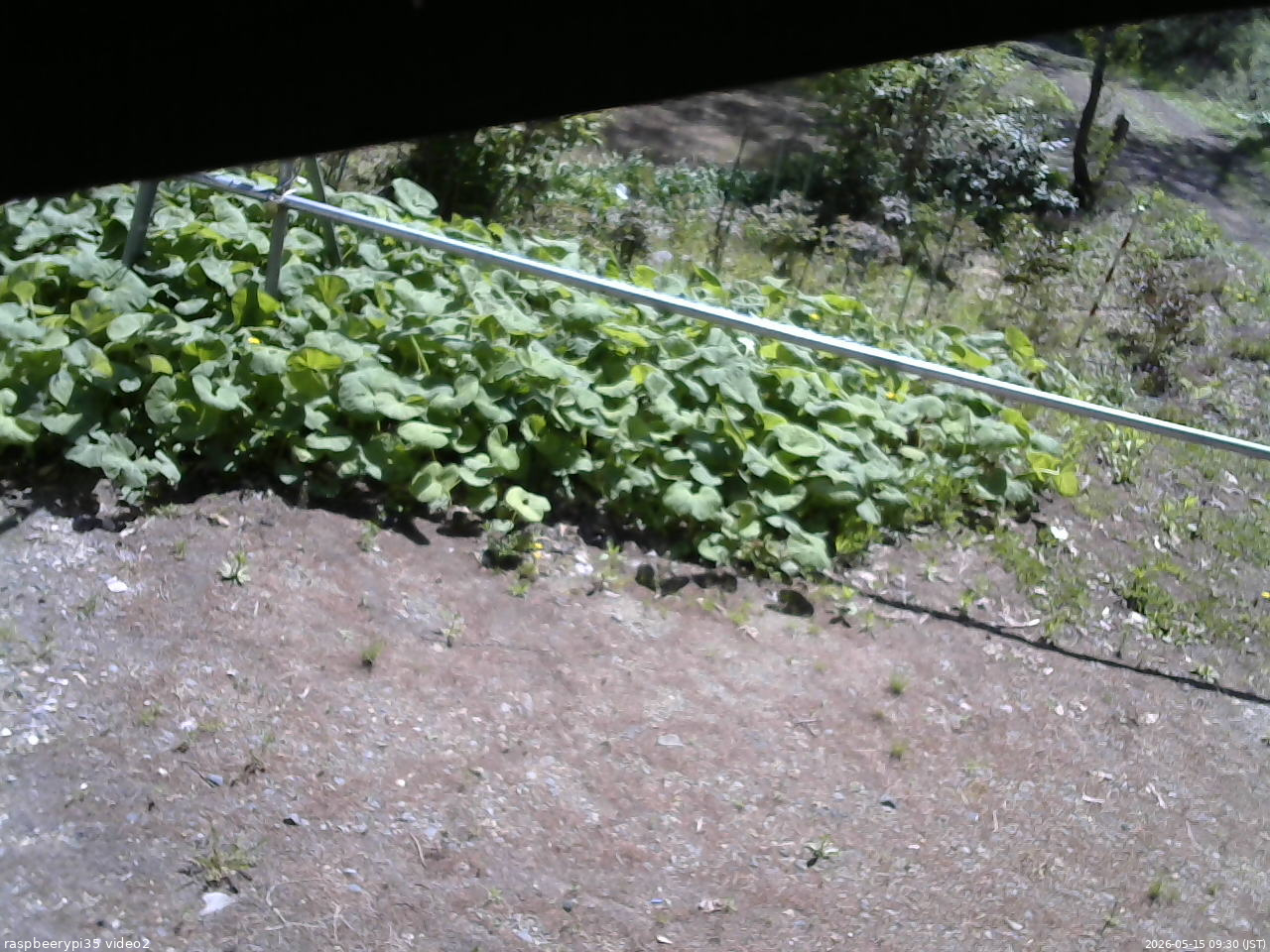 長野県菅平高原 ゆたか山荘 駐車場 2026/05/15 09:30