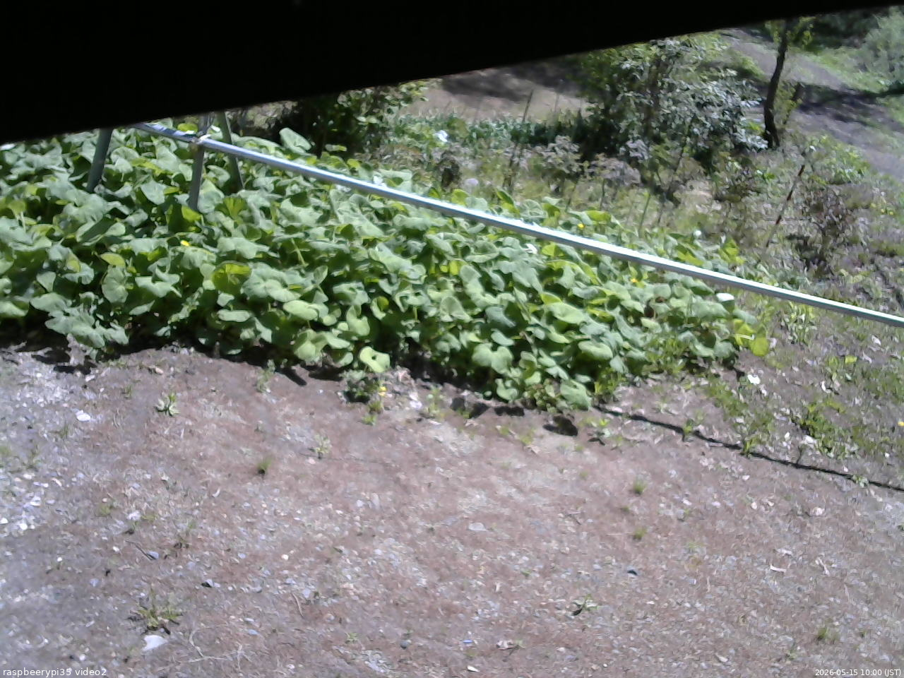 長野県菅平高原 ゆたか山荘 駐車場 2026/05/15 10:00