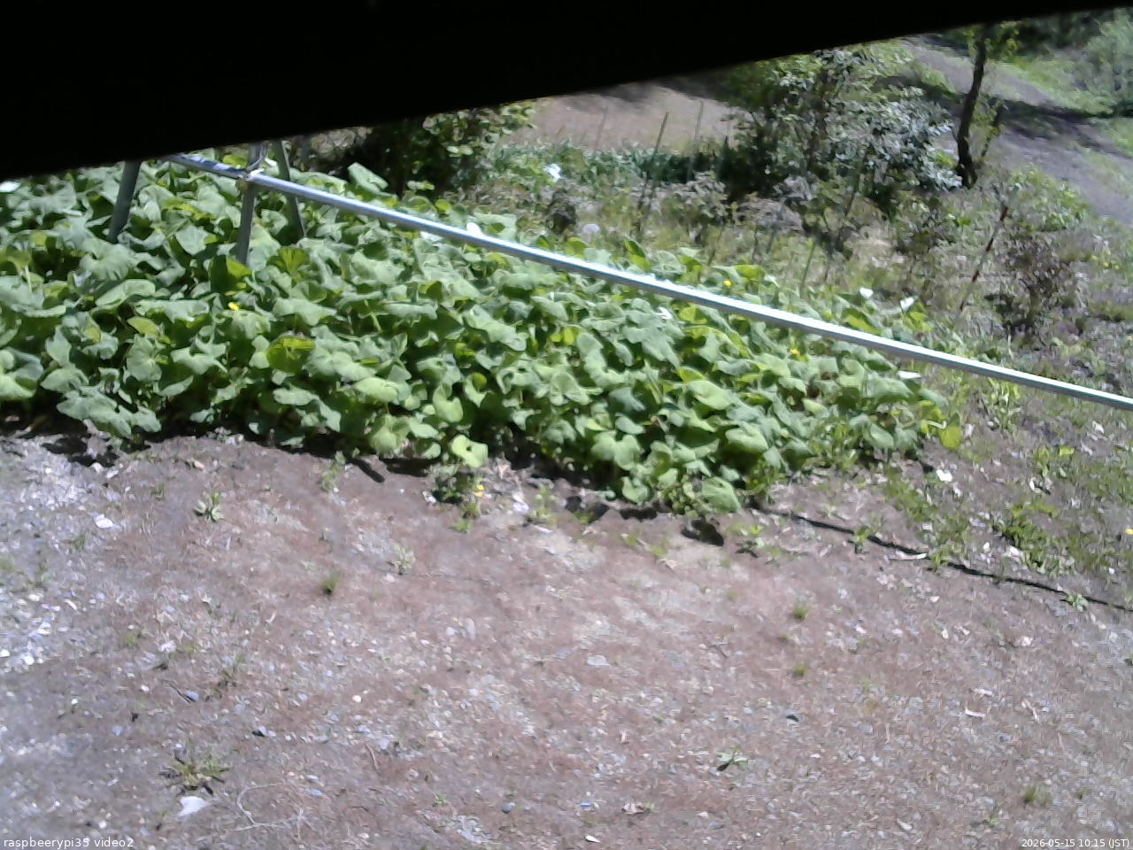長野県菅平高原 ゆたか山荘 駐車場 2026/05/15 10:15