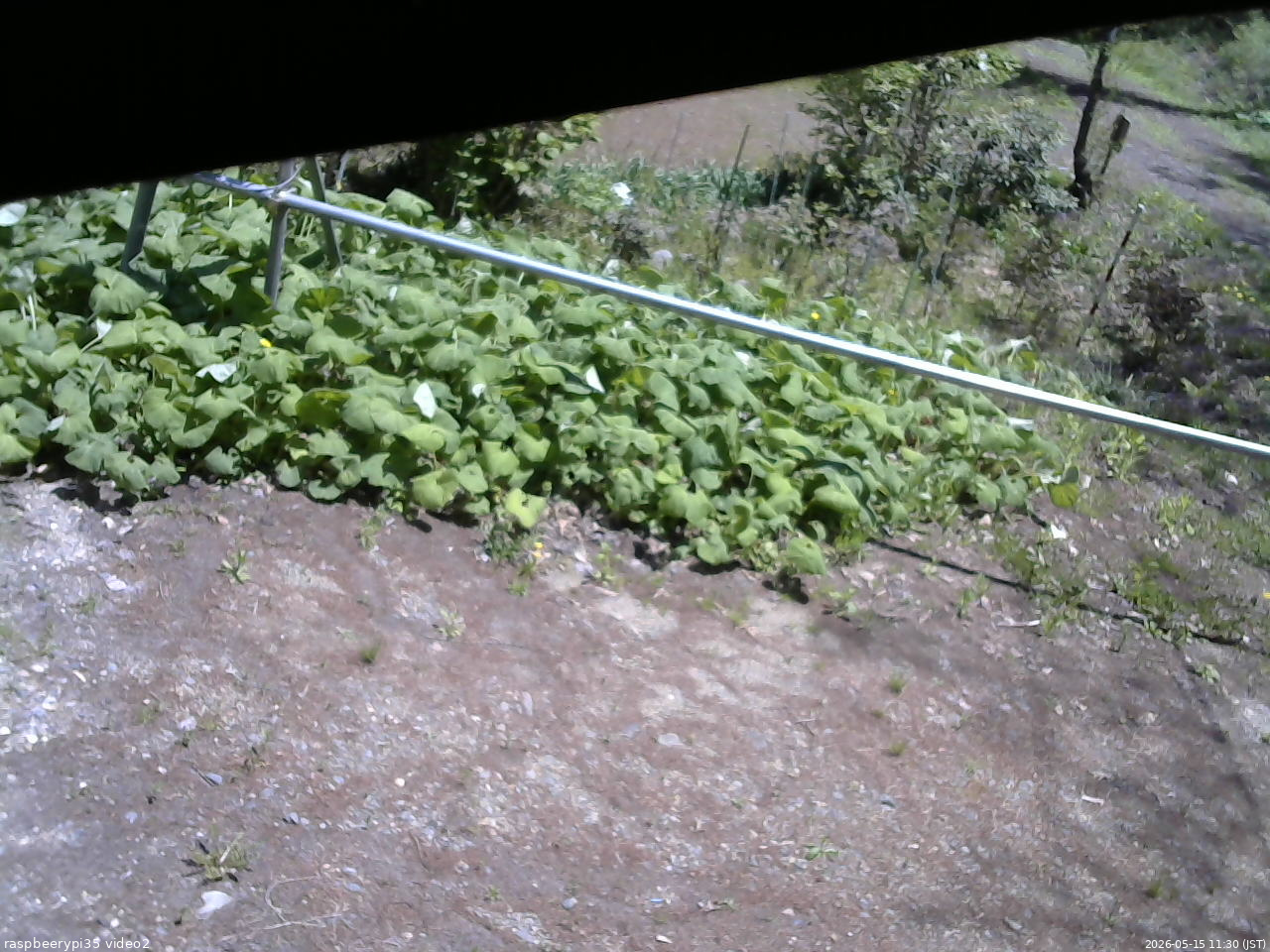 長野県菅平高原 ゆたか山荘 駐車場 2026/05/15 11:30